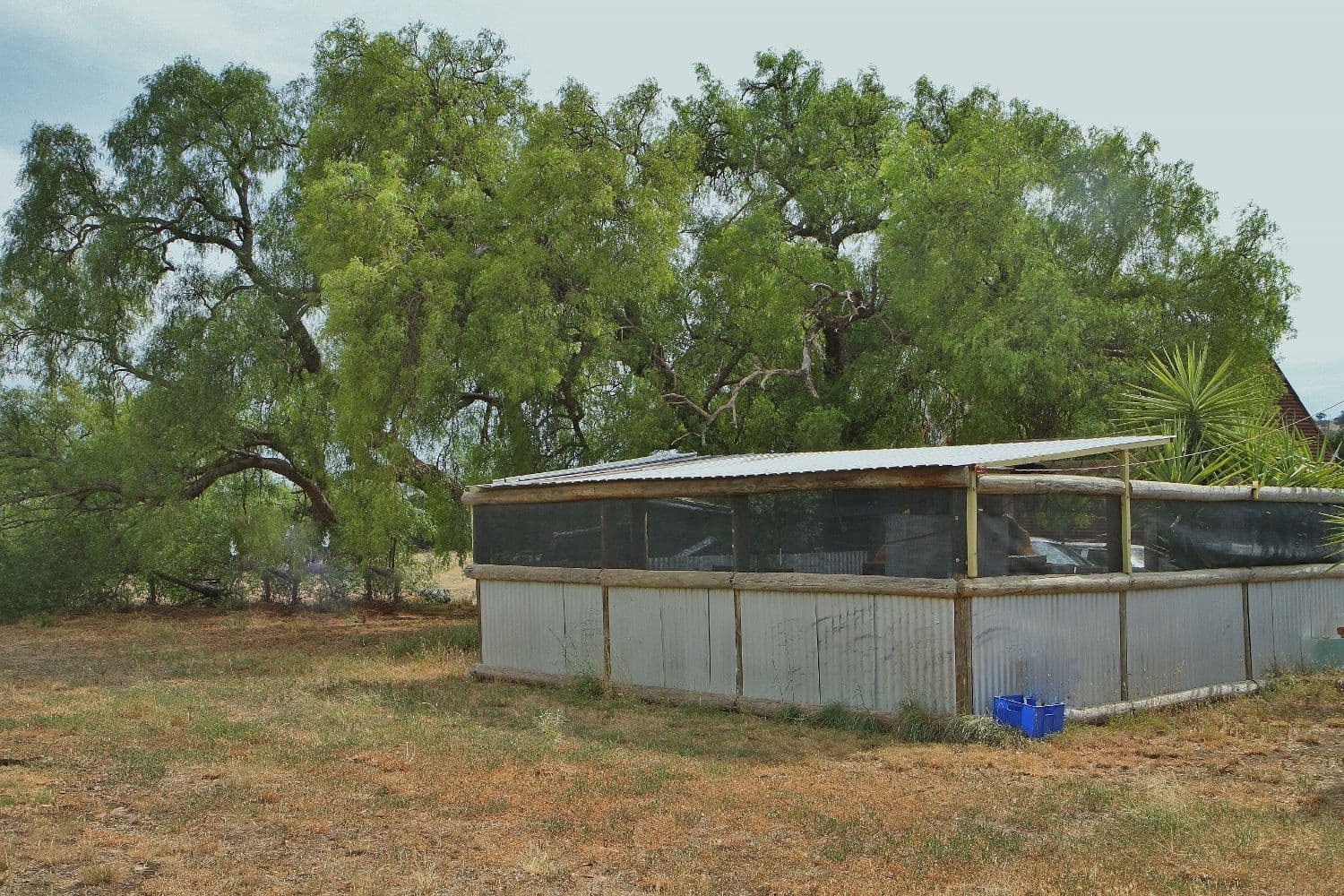 132 Tranter Road, Toolleen VIC 3551, Toolleen - Thumbnail 6