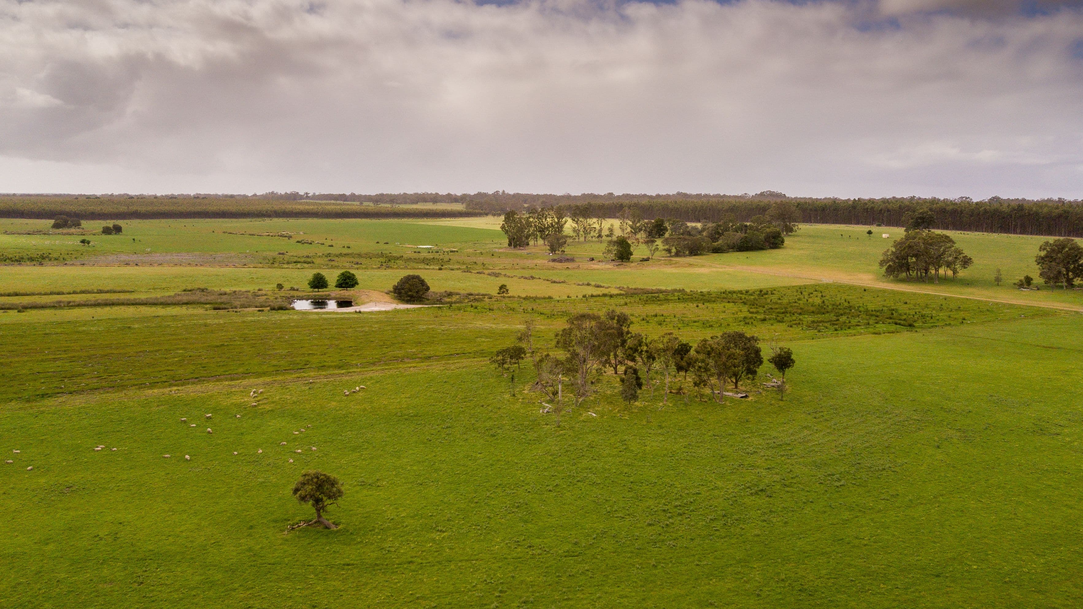 258 Greeuw Road, Narrikup WA 6326, Narrikup - Image 1