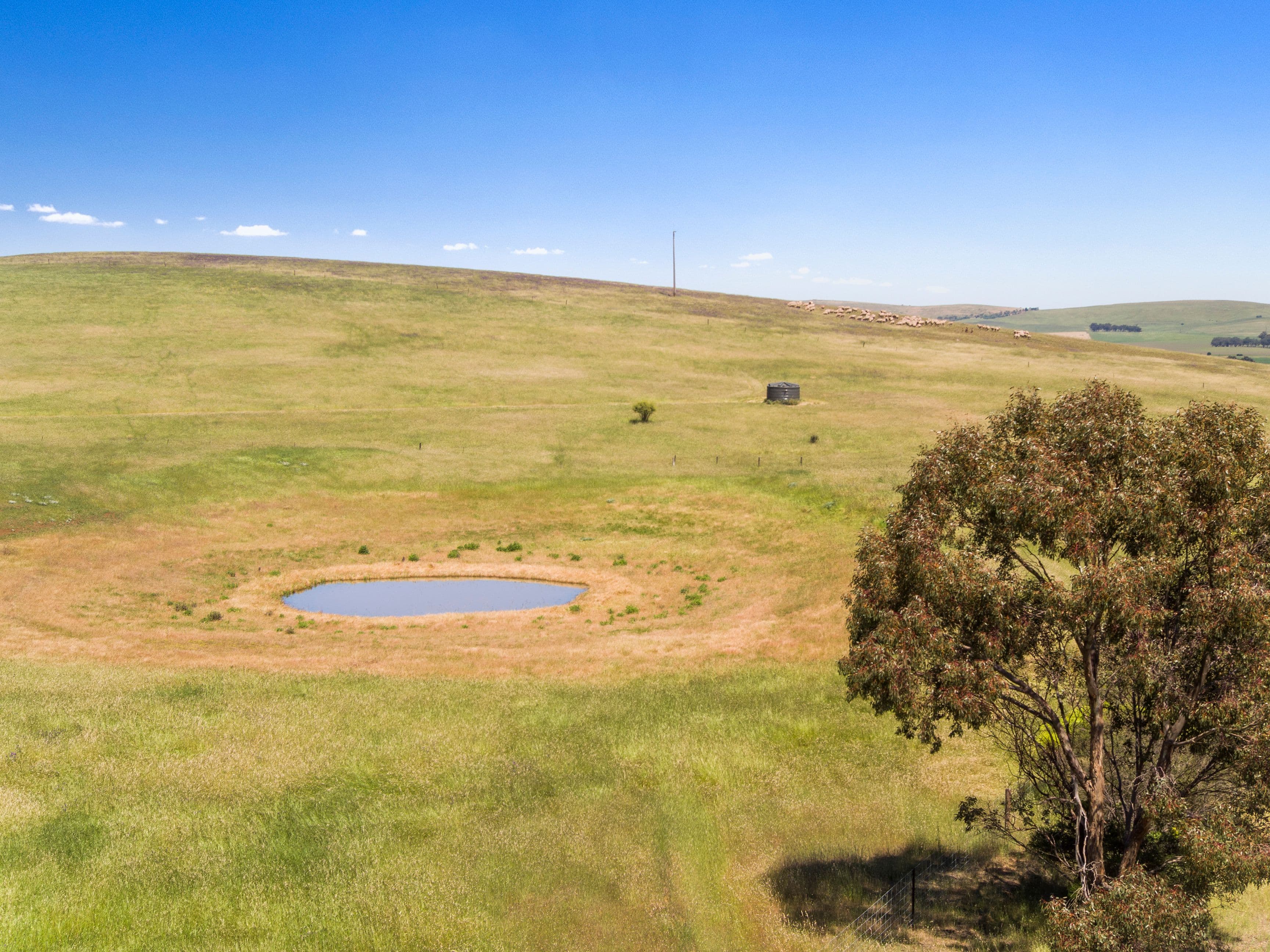 'Horse Paddock', Betterson Road, Hill River SA 5453, Hill River - Image 1