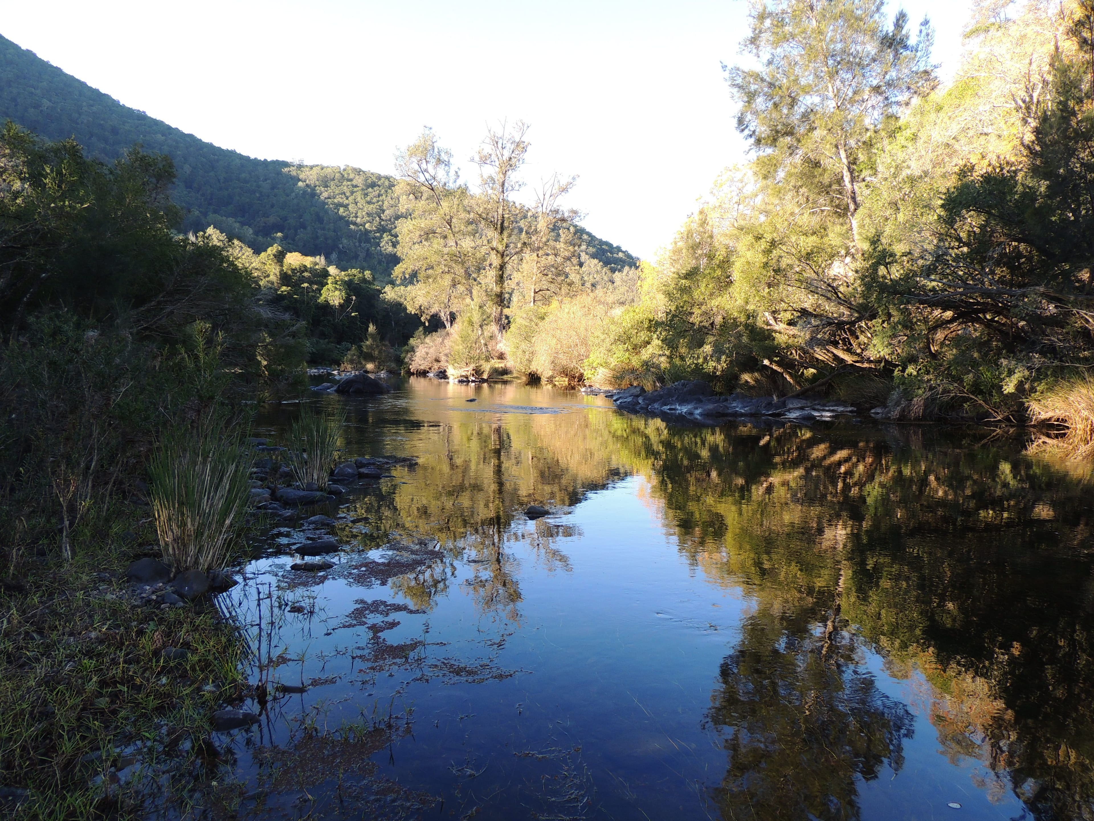 362 Cundle Flat Road, Gloucester NSW 2422, Gloucester - Thumbnail 2