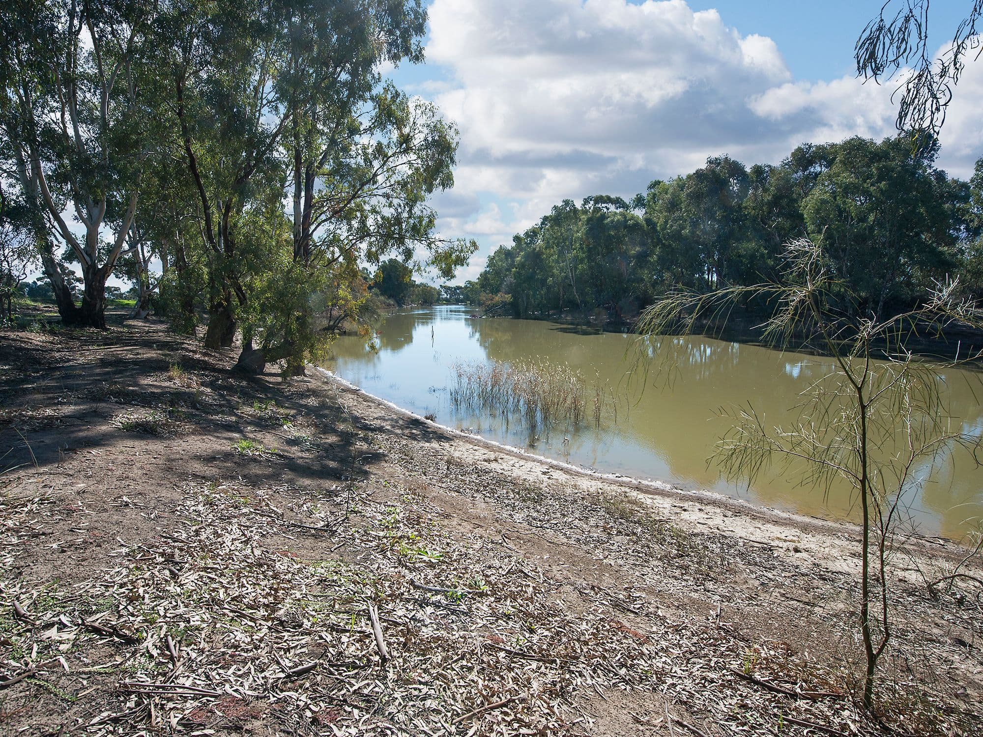 156 Maher Road, Swan Hill VIC 3585, Swan Hill - Image 1