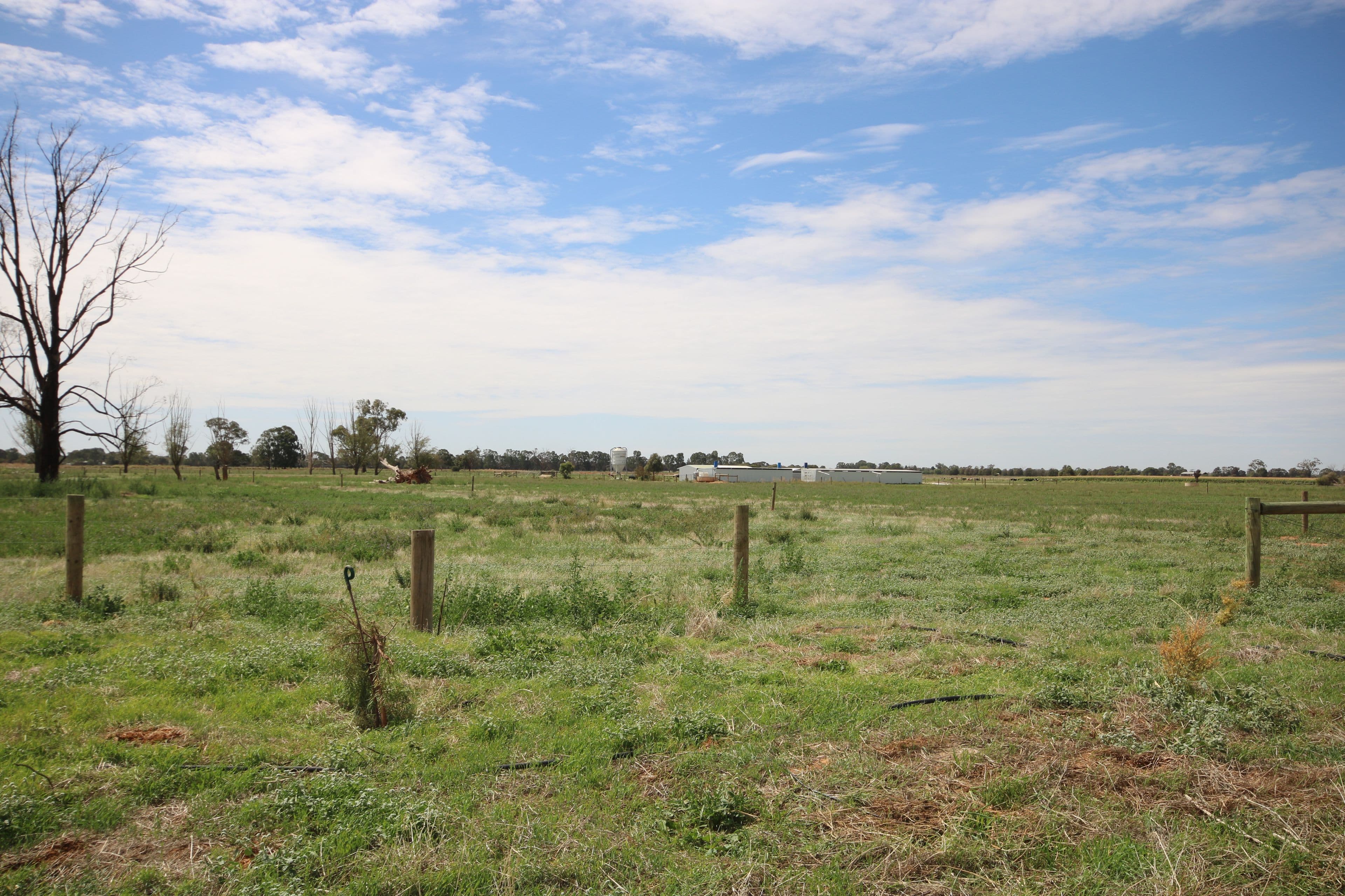 380 Diggora Road, Rochester VIC 3561, Rochester - Thumbnail 2