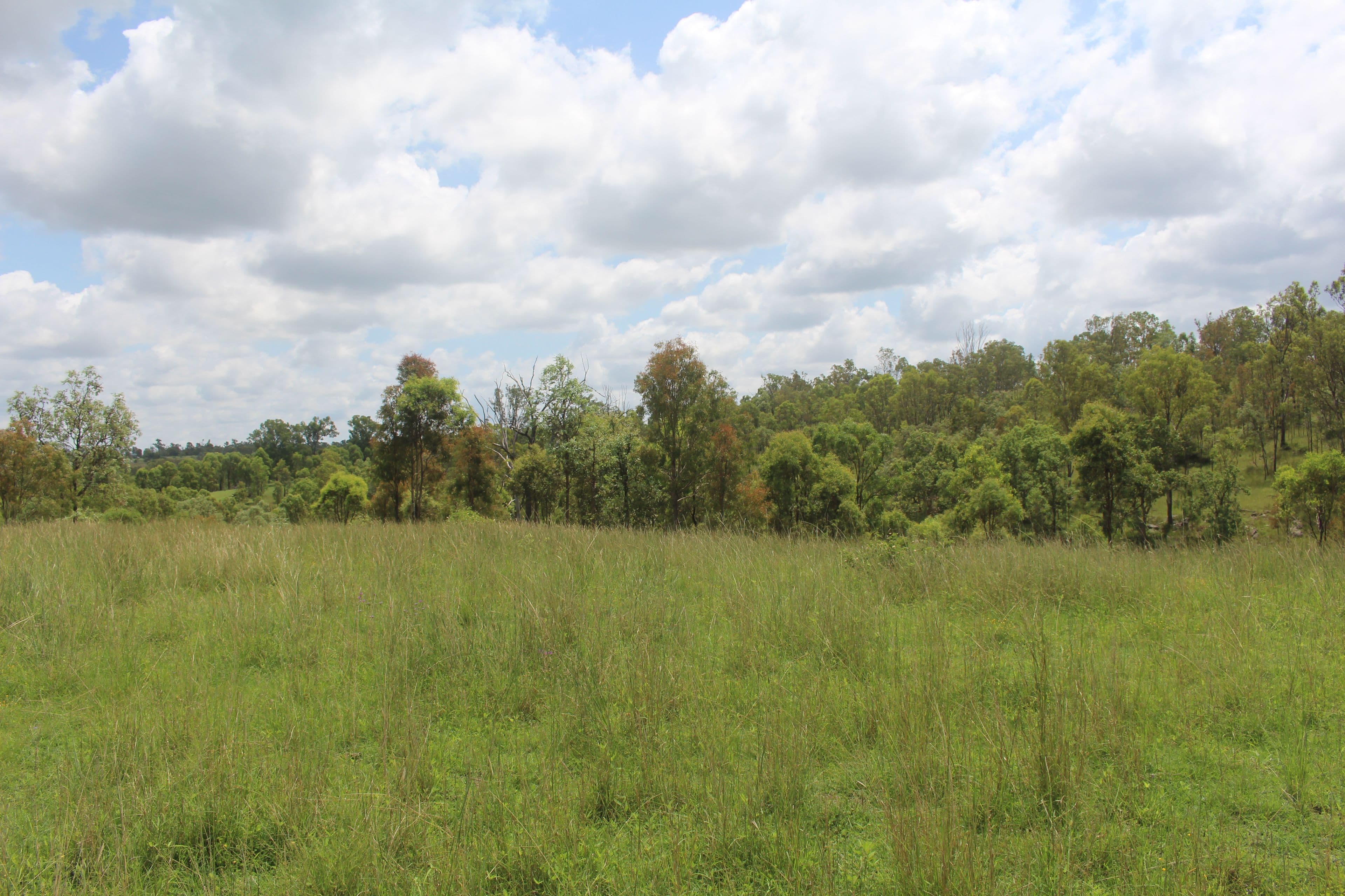 Lot 5 Old Esk North Road, South East Nanango QLD 4615, South East Nanango - Thumbnail 3