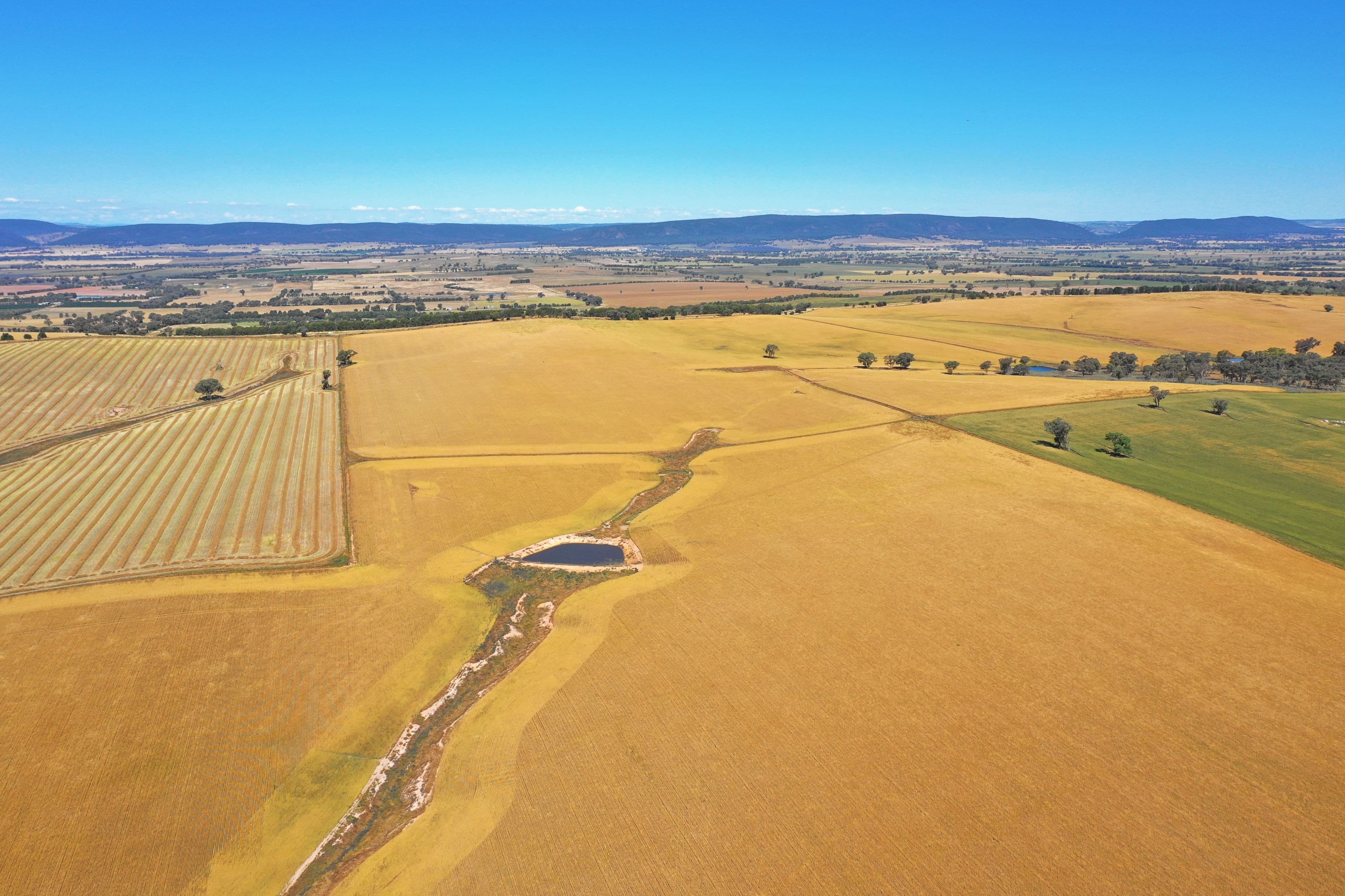 Young NSW 2594, Young - Image 1