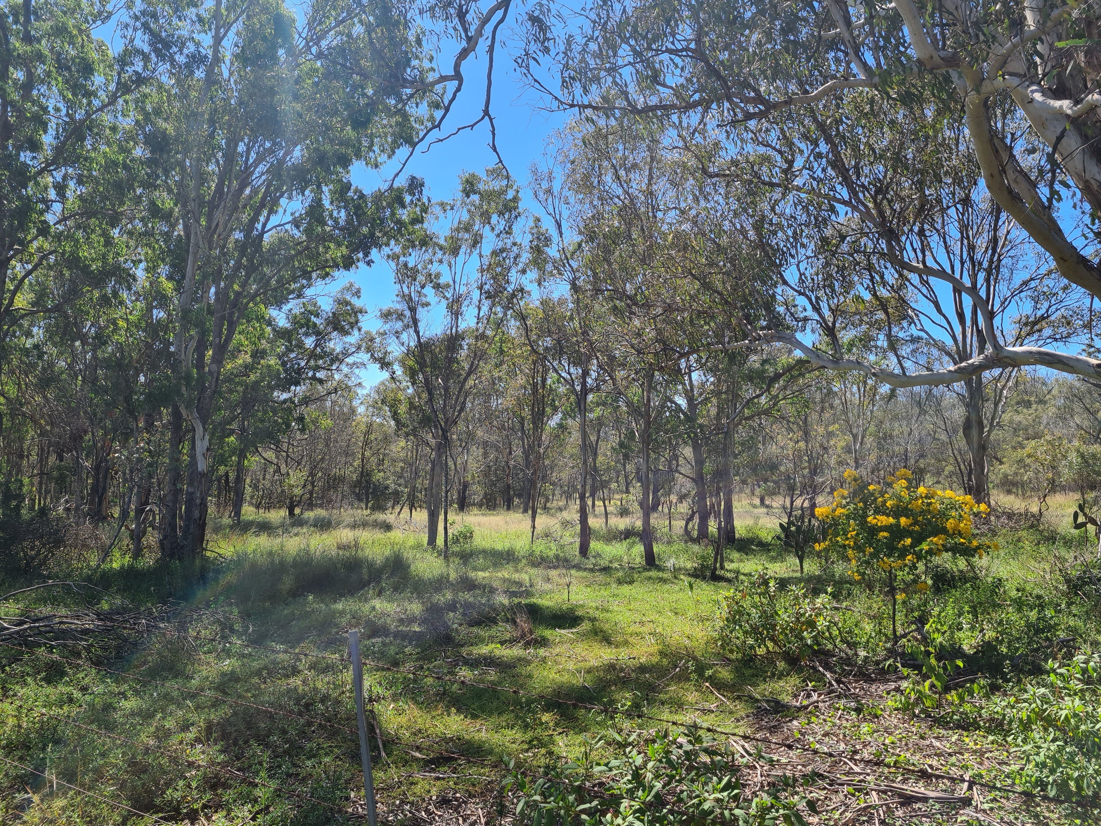 20 South Street, Crows Nest QLD 4355, Crows Nest - Thumbnail 8