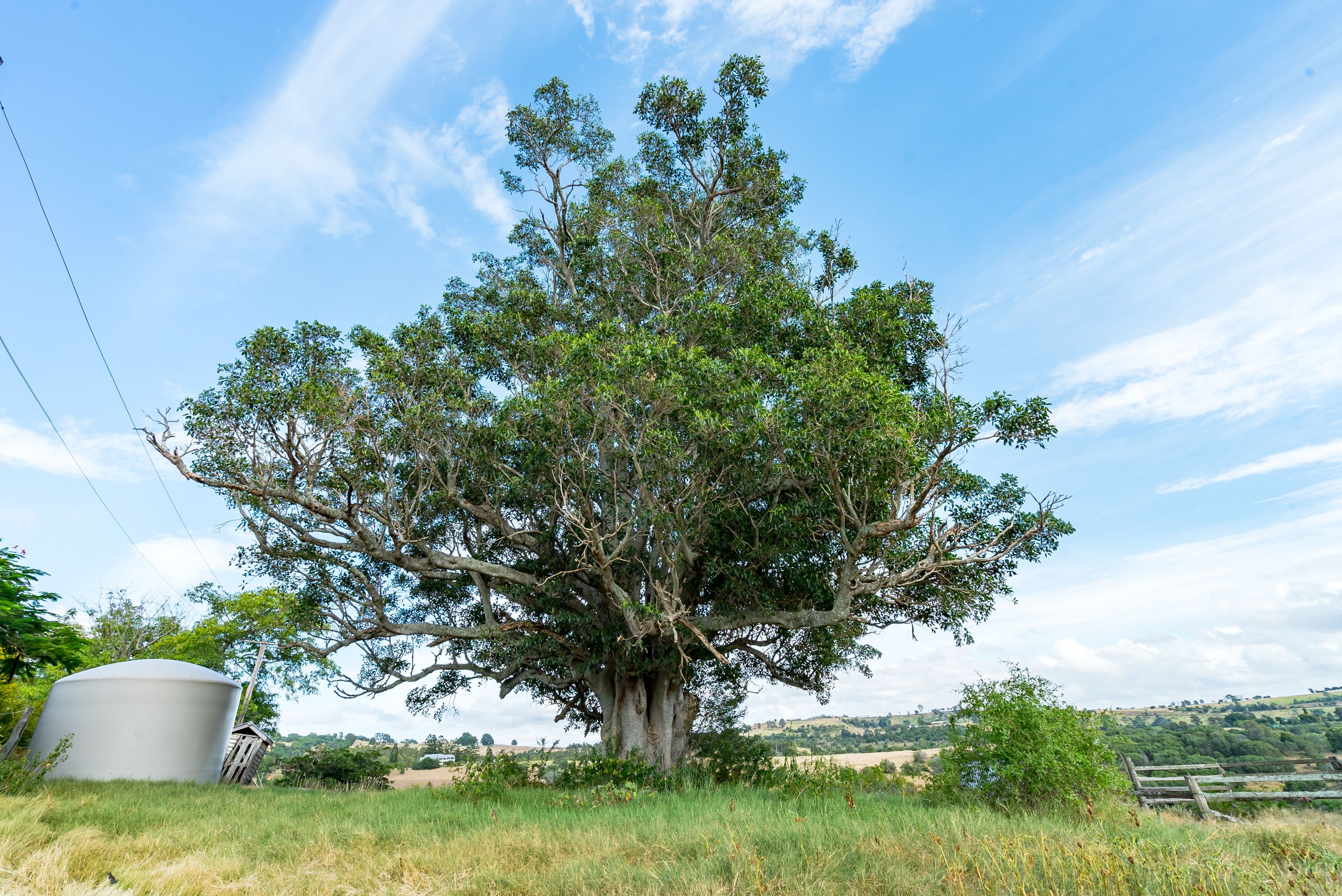 87-127 Schubels Road, Marburg QLD 4346, Marburg - Thumbnail 5