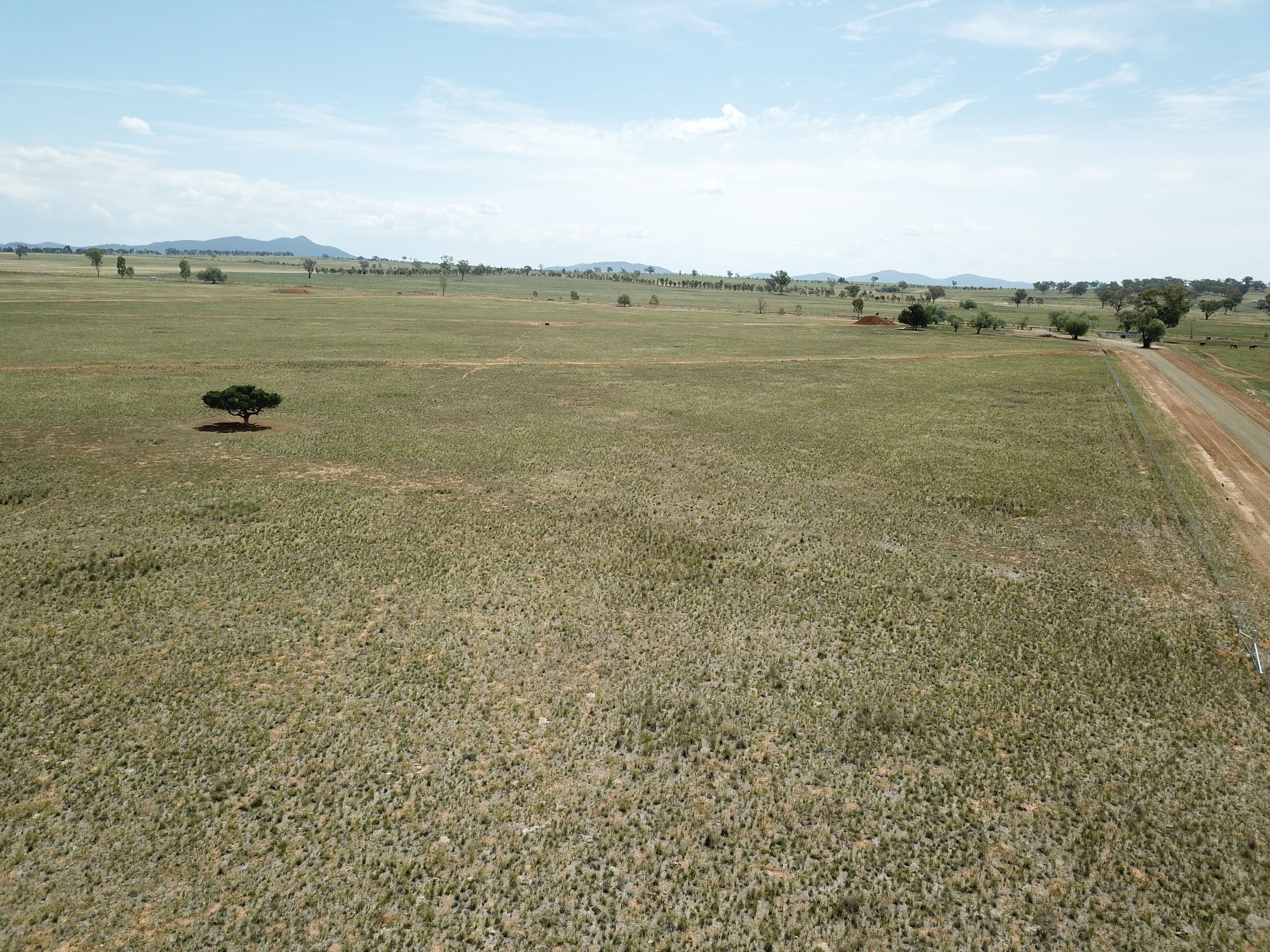 Lot 102, 63 Phillip Lane, Tamworth NSW 2340, Tamworth - Thumbnail 8