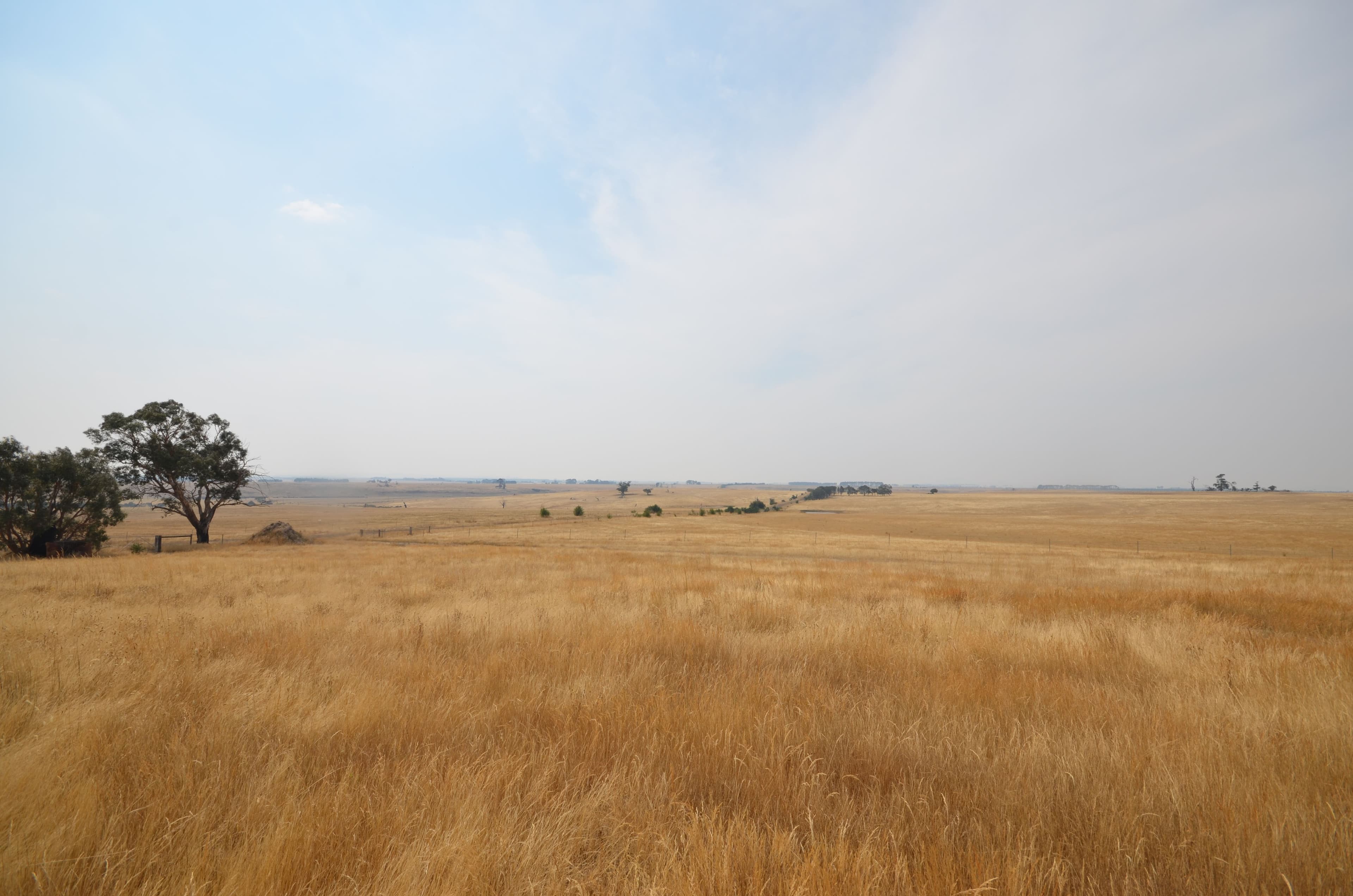 Lot 1 North South Road, Carngham  Victoria  3351, Australia, Carngham - Thumbnail 6