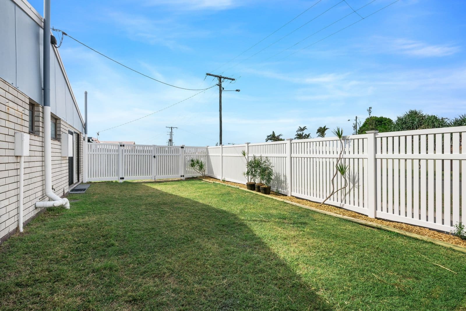 24 Malinya Street, Buddina QLD 4575, Buddina - Thumbnail 8