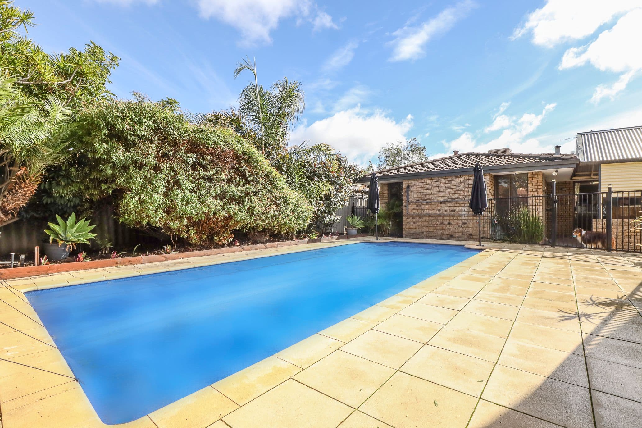 16 Bradley Way, High Wycombe WA 6057, High Wycombe - Image 1