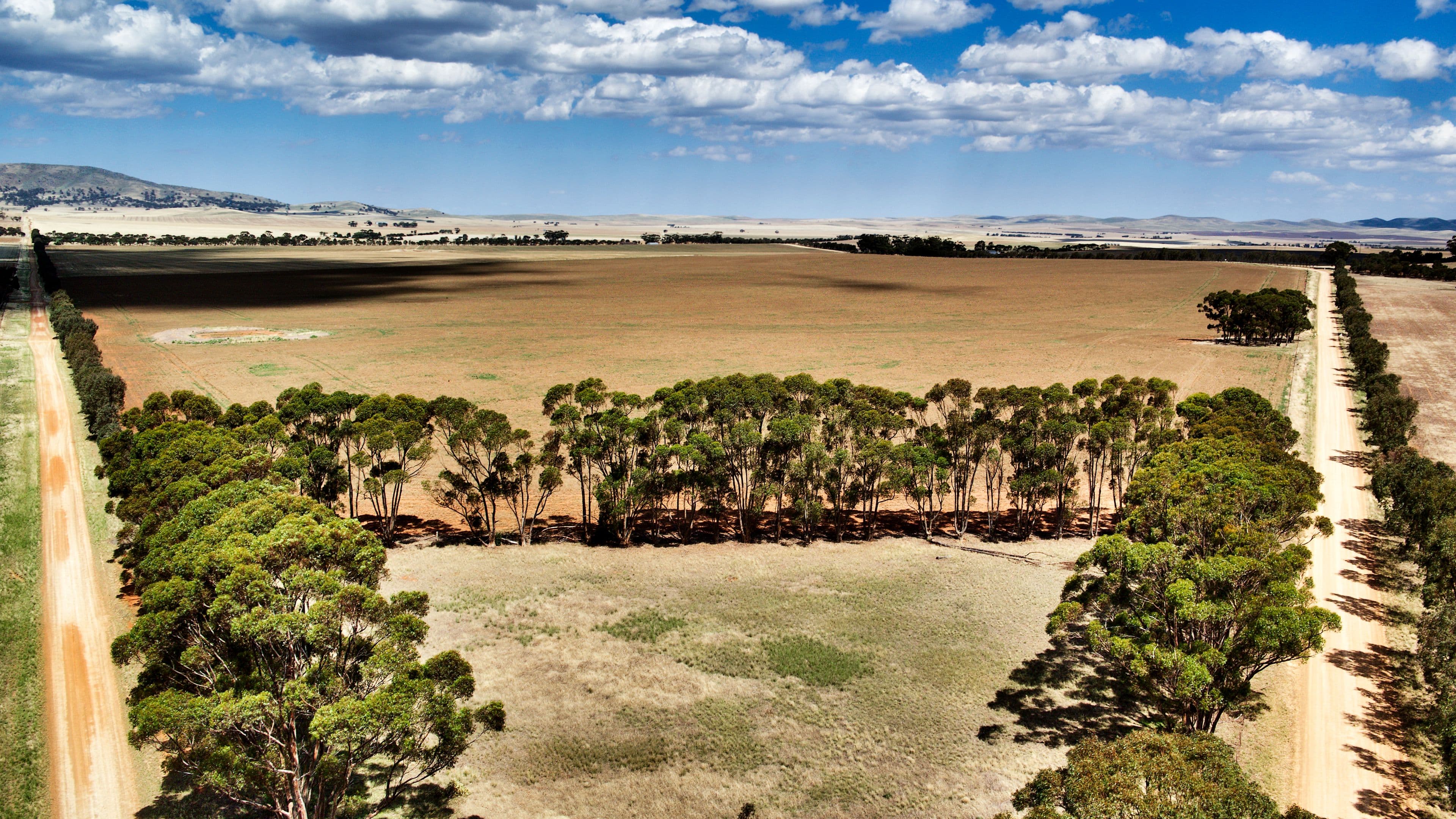 "Donara" Donara Road, Mount Bryan SA 5418, Mount Bryan - Thumbnail 4