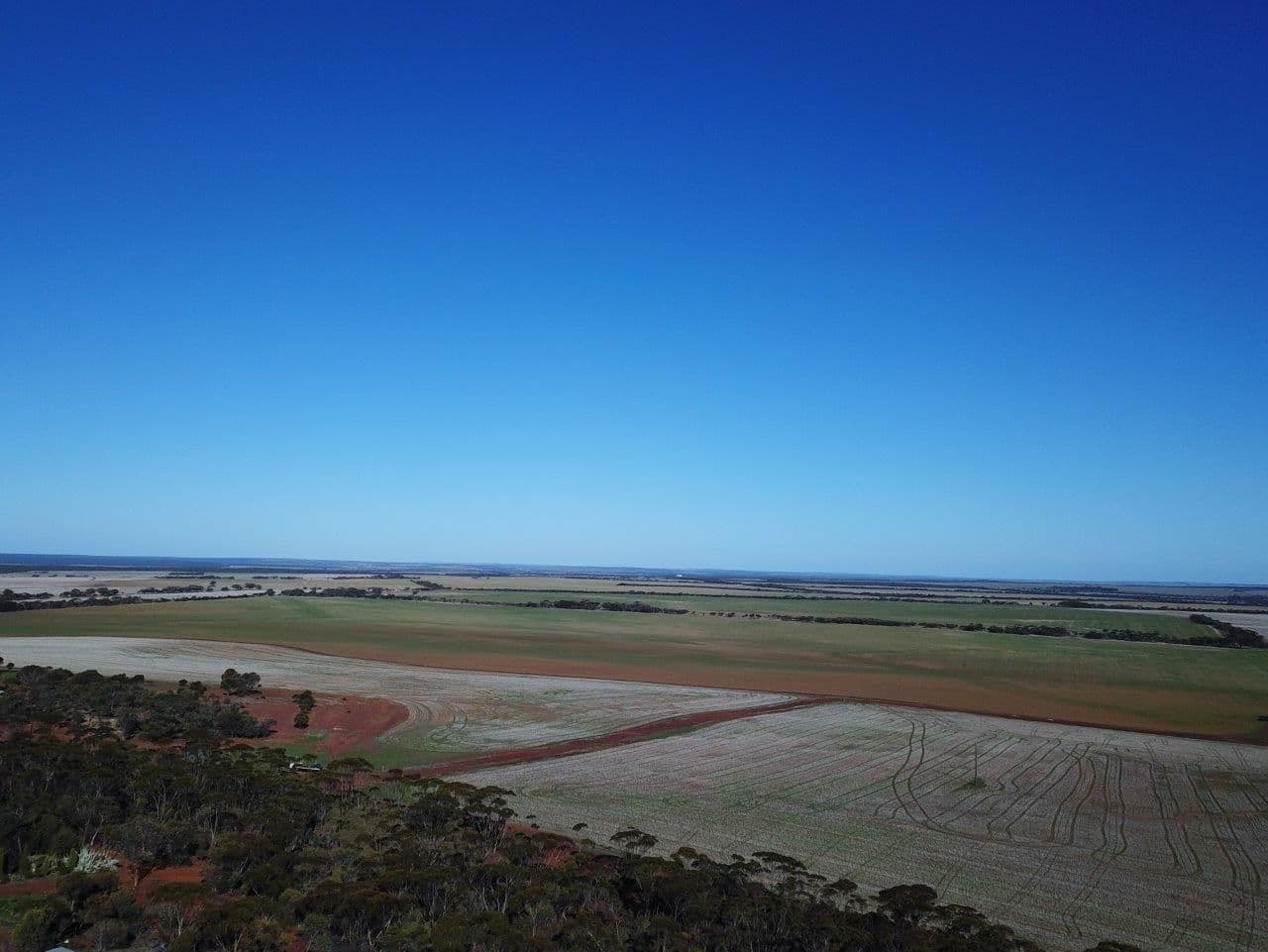 2244 Calzoni Road, Woolocutty WA 6369, Woolocutty - Thumbnail 7