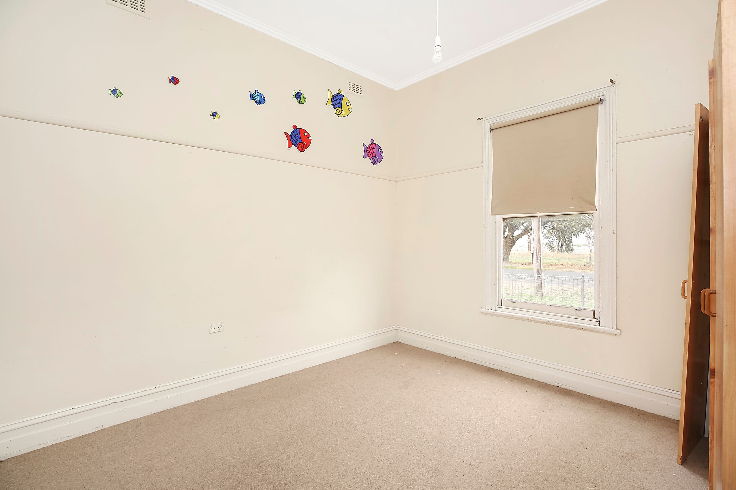 53 Swanston Street, Terang VIC 3264, Terang - Thumbnail 6