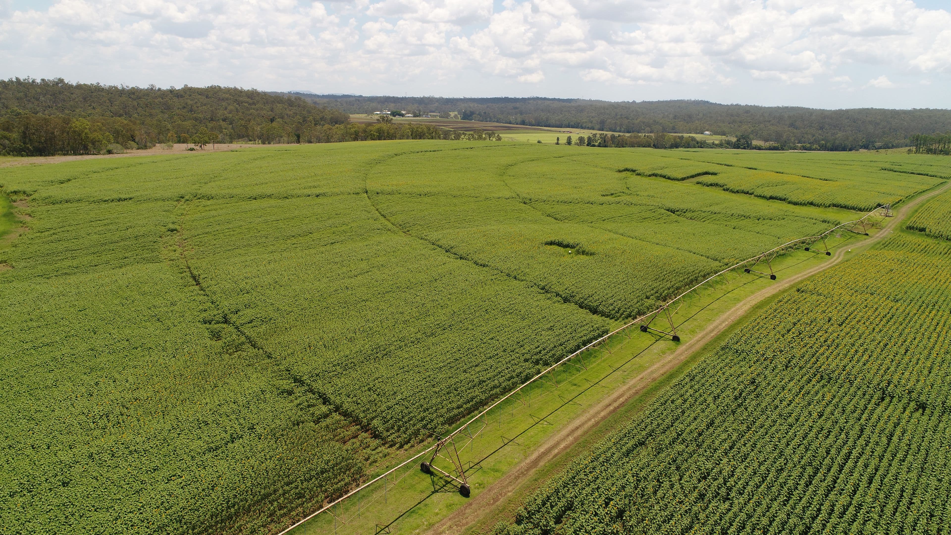 'Nobby Hill' Delan Rd, Delan, Gin Gin QLD 4671, Gin Gin - Thumbnail 3