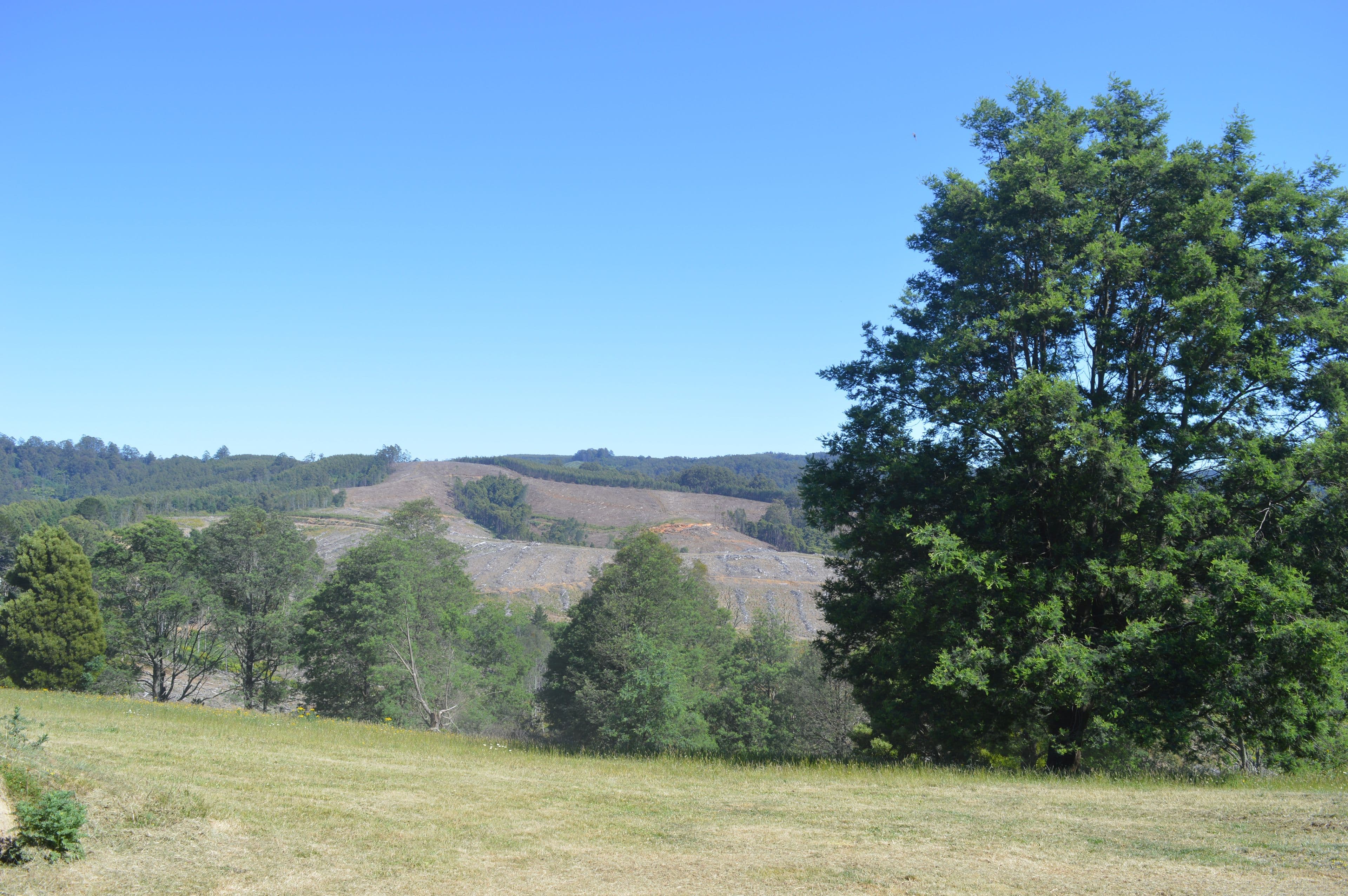 Lot 1 Kalladys Road, Devon North VIC 3971, Devon North - Thumbnail 4