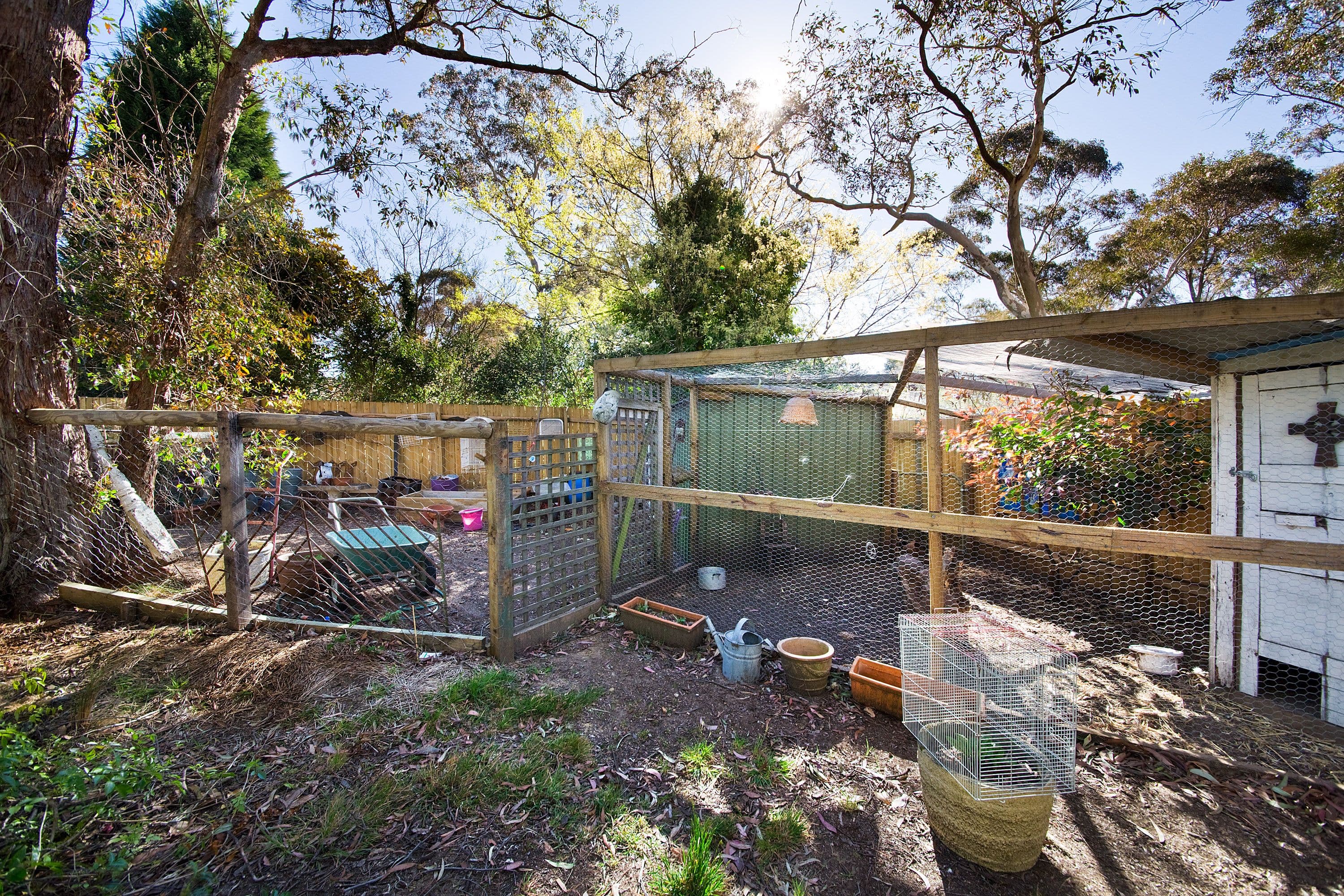 38 Evans Lookout Road, Blackheath - Thumbnail 8