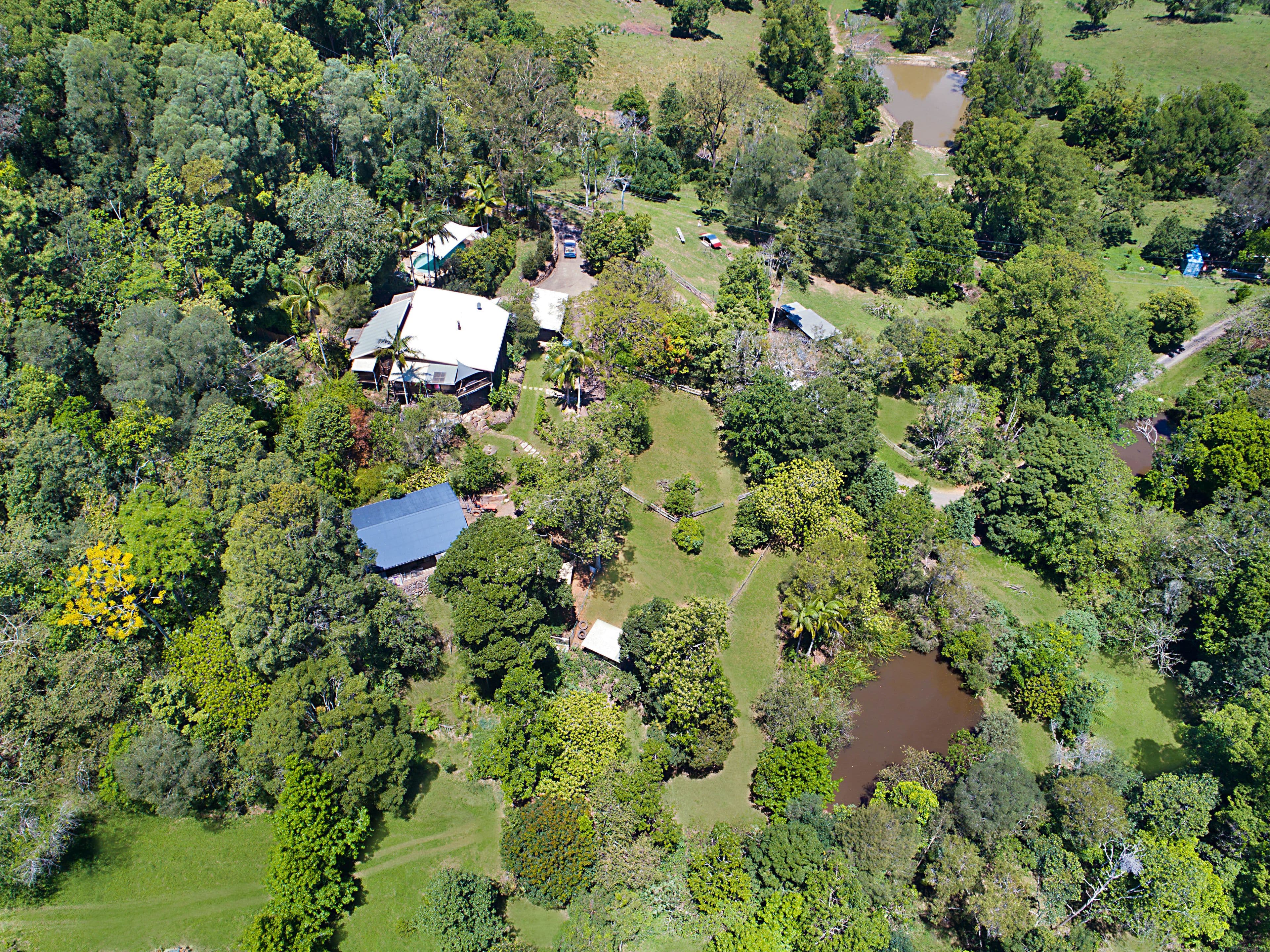 160 Kellys Road, Eungella NSW 2484, Eungella - Thumbnail 2