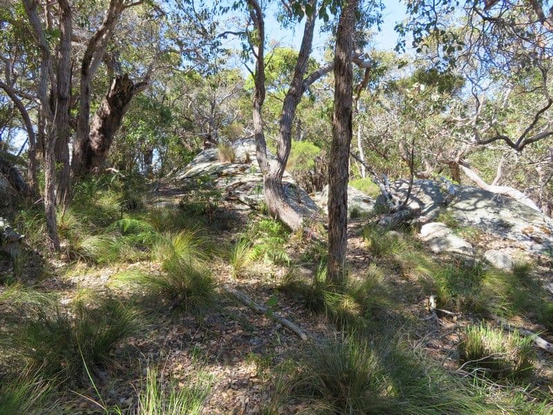 Lot 4 Mount Richard Road, Albany WA 6330, Albany - Thumbnail 7