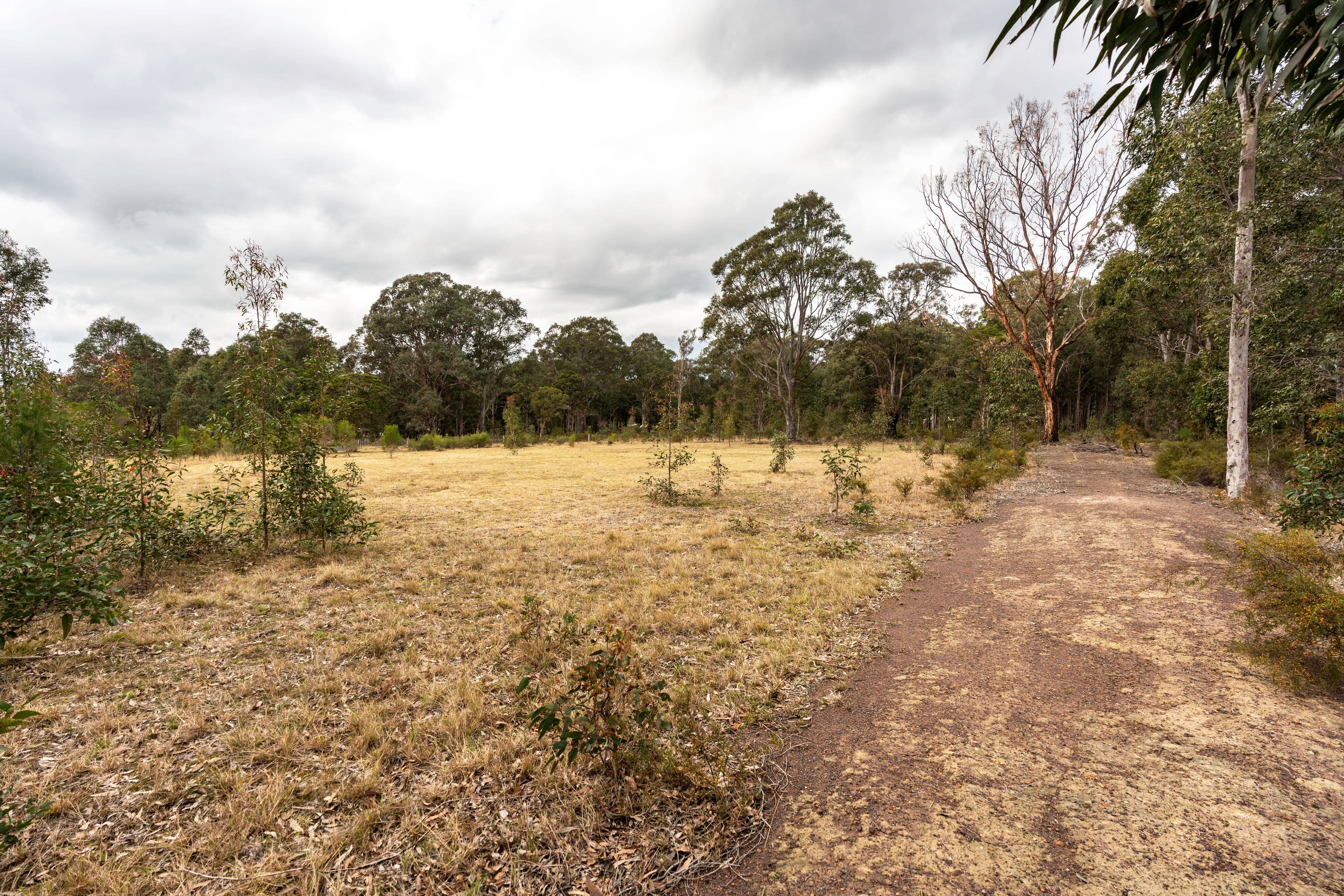 27 Oakbanks Place, Worrigee NSW 2540, Worrigee - Thumbnail 4