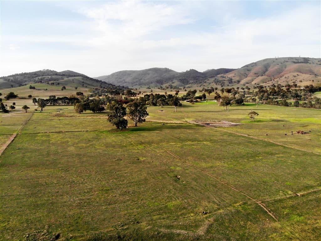 72 Goobarragandra Road, Tumut NSW 2720, Tumut - Thumbnail 5
