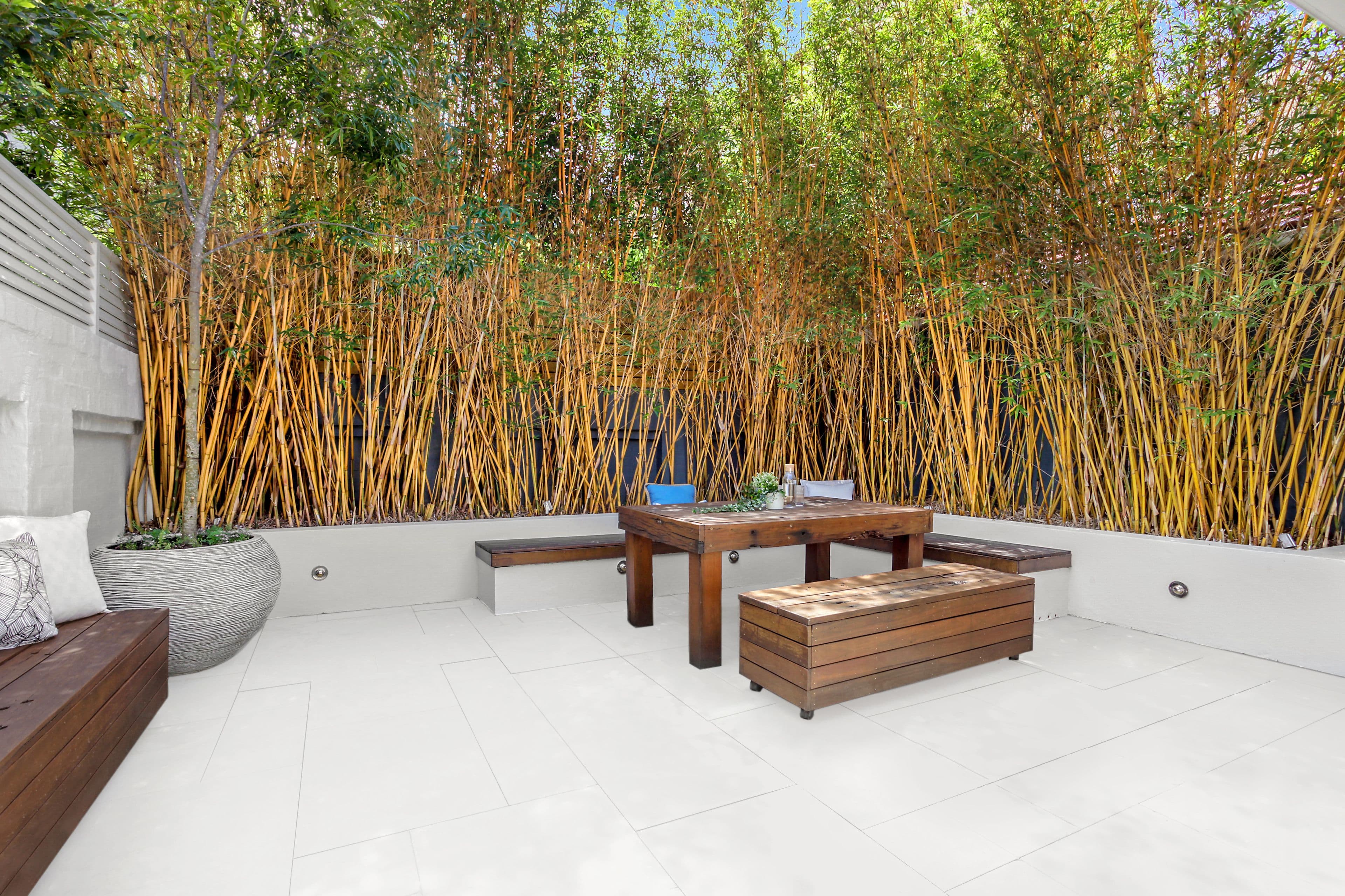 48A Clyde Street, North Bondi NSW 2026, North Bondi - Thumbnail 2