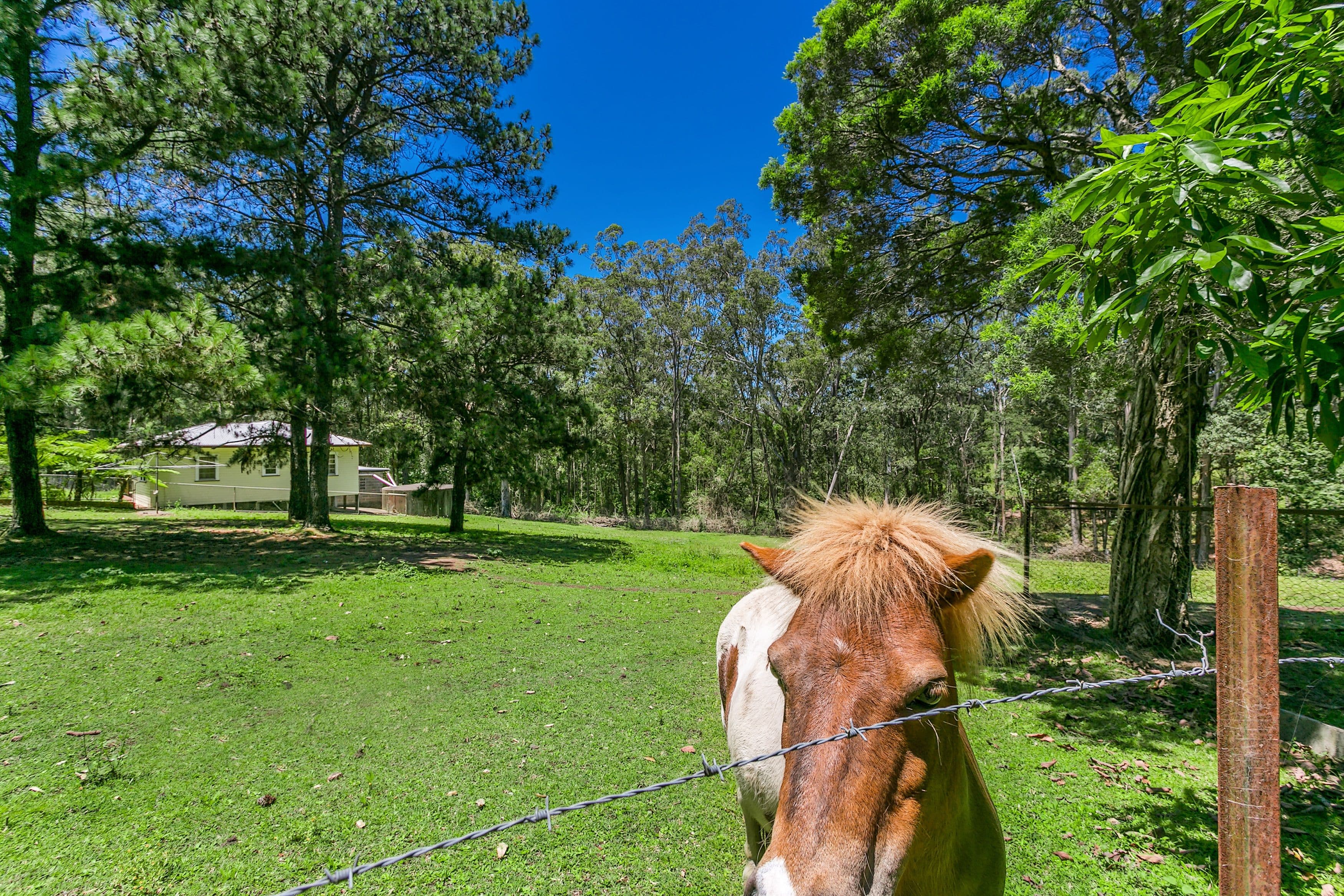 199 Borton Road, Tullera NSW 2480, Tullera - Thumbnail 6