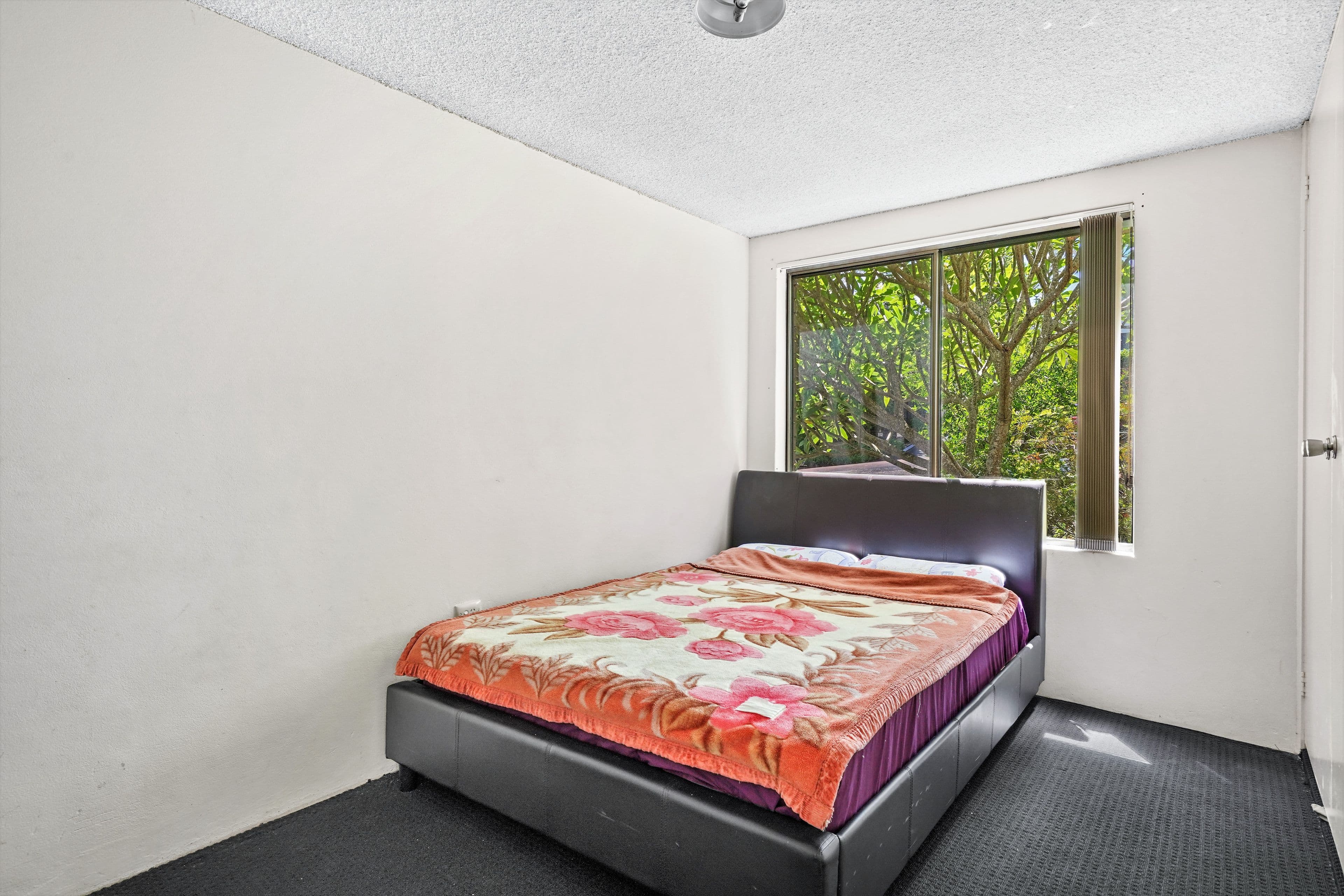 50 Frederick Street, Point Frederick NSW 2250, Point Frederick - Thumbnail 4