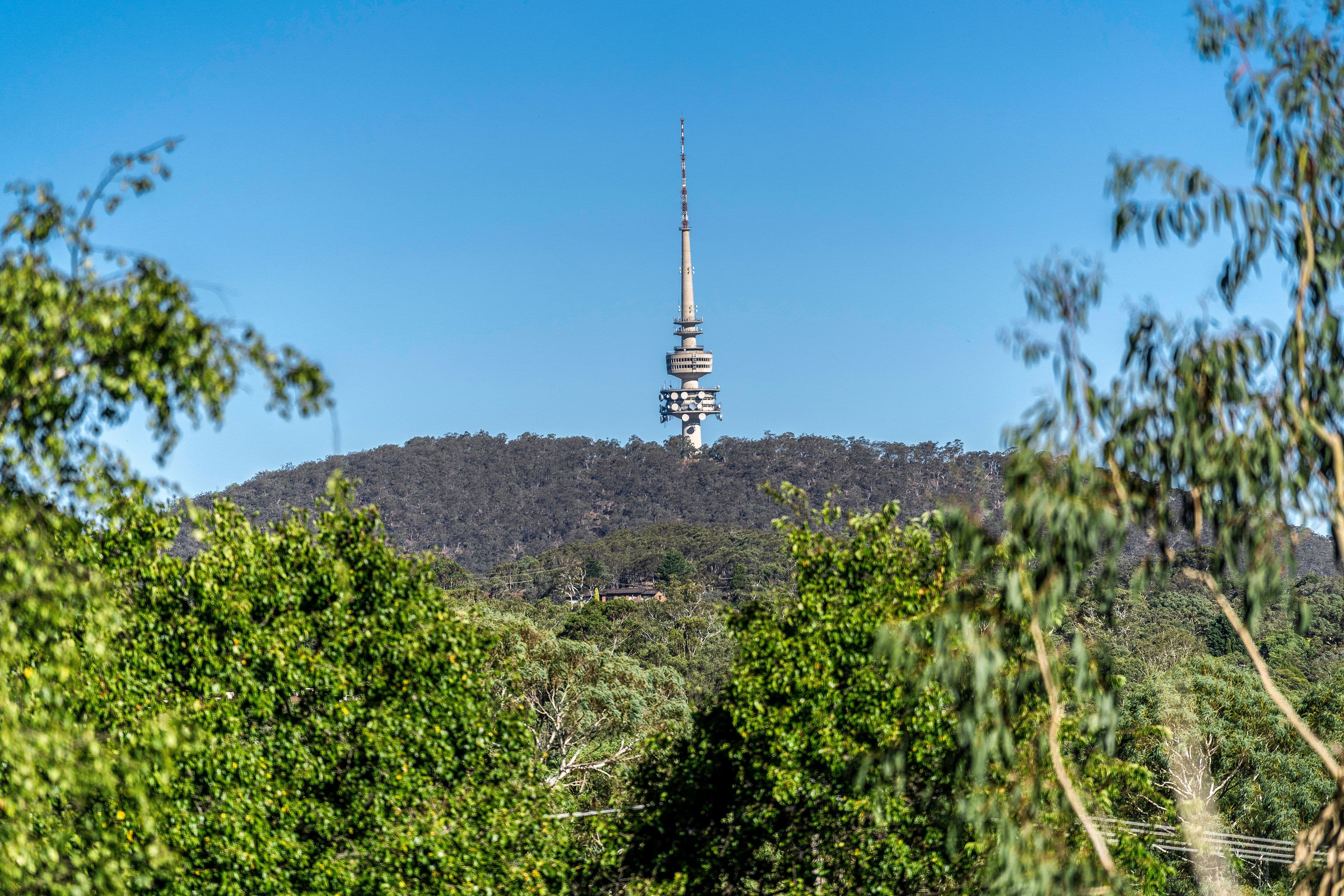 17 Goulburn Street, Macquarie ACT 2614, Macquarie - Thumbnail 7