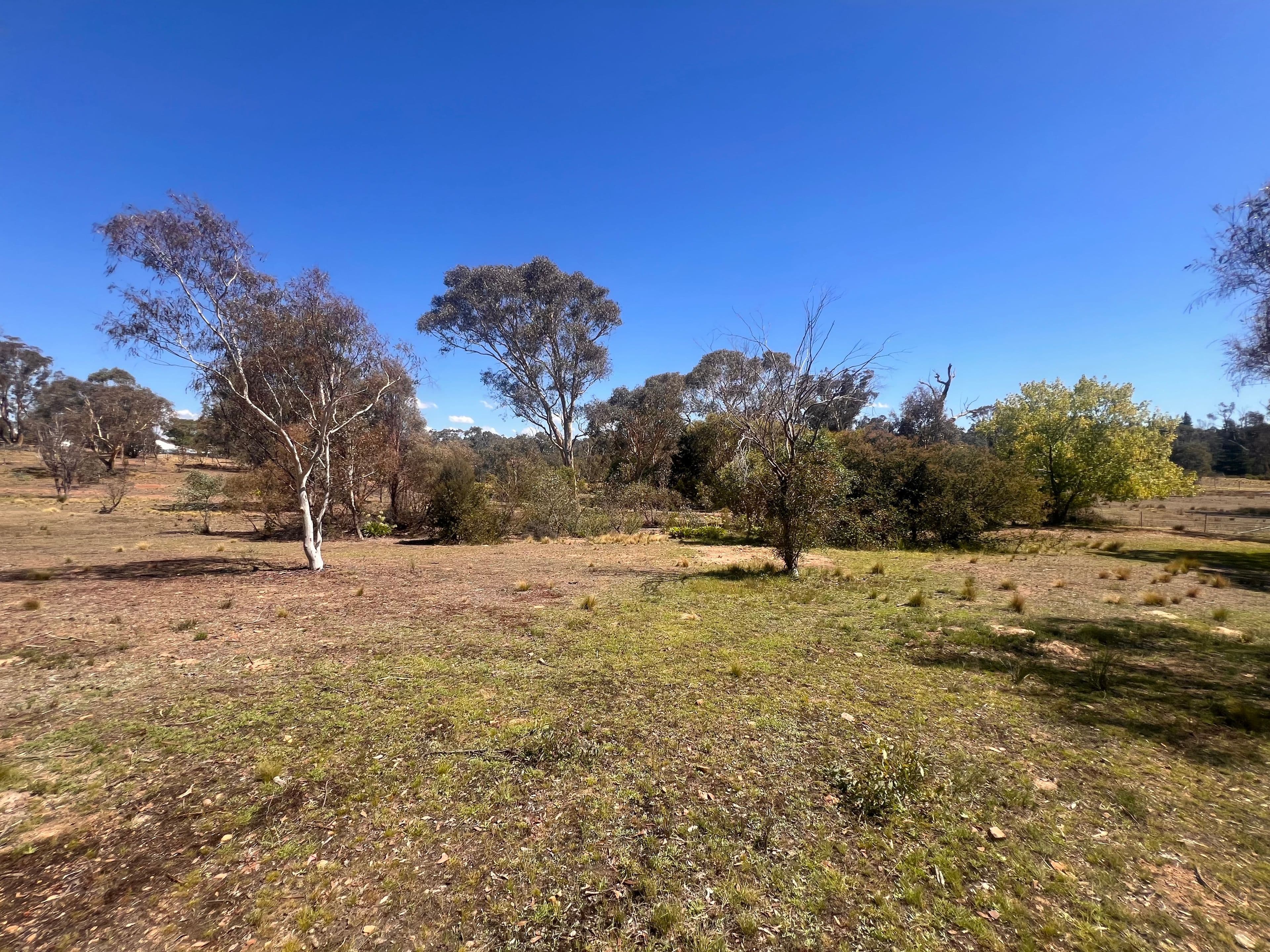13 Songlark Lane, Sutton NSW 2620, Sutton - Thumbnail 6
