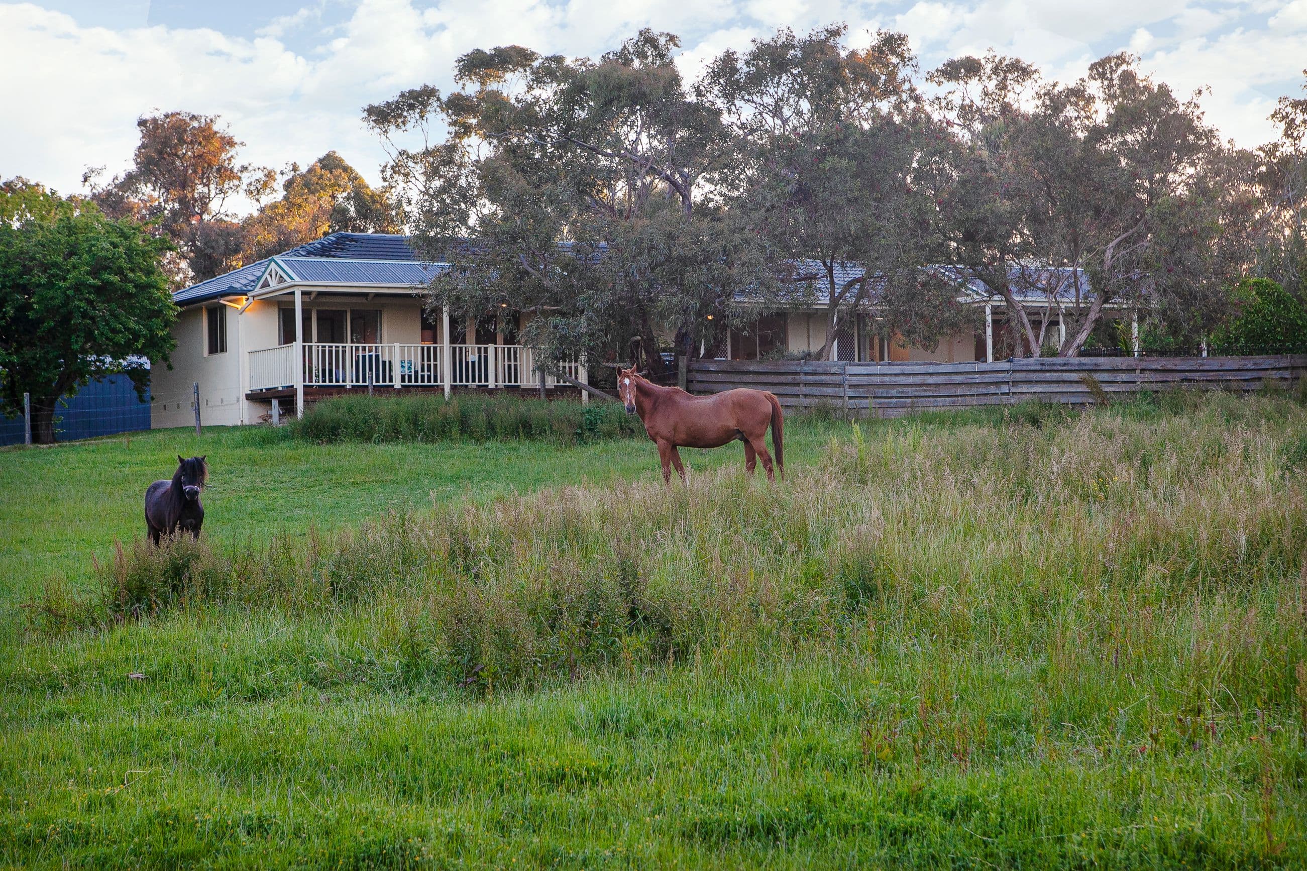 33 Woodlands Road, Cranbourne South VIC 3977, Cranbourne South - Thumbnail 4