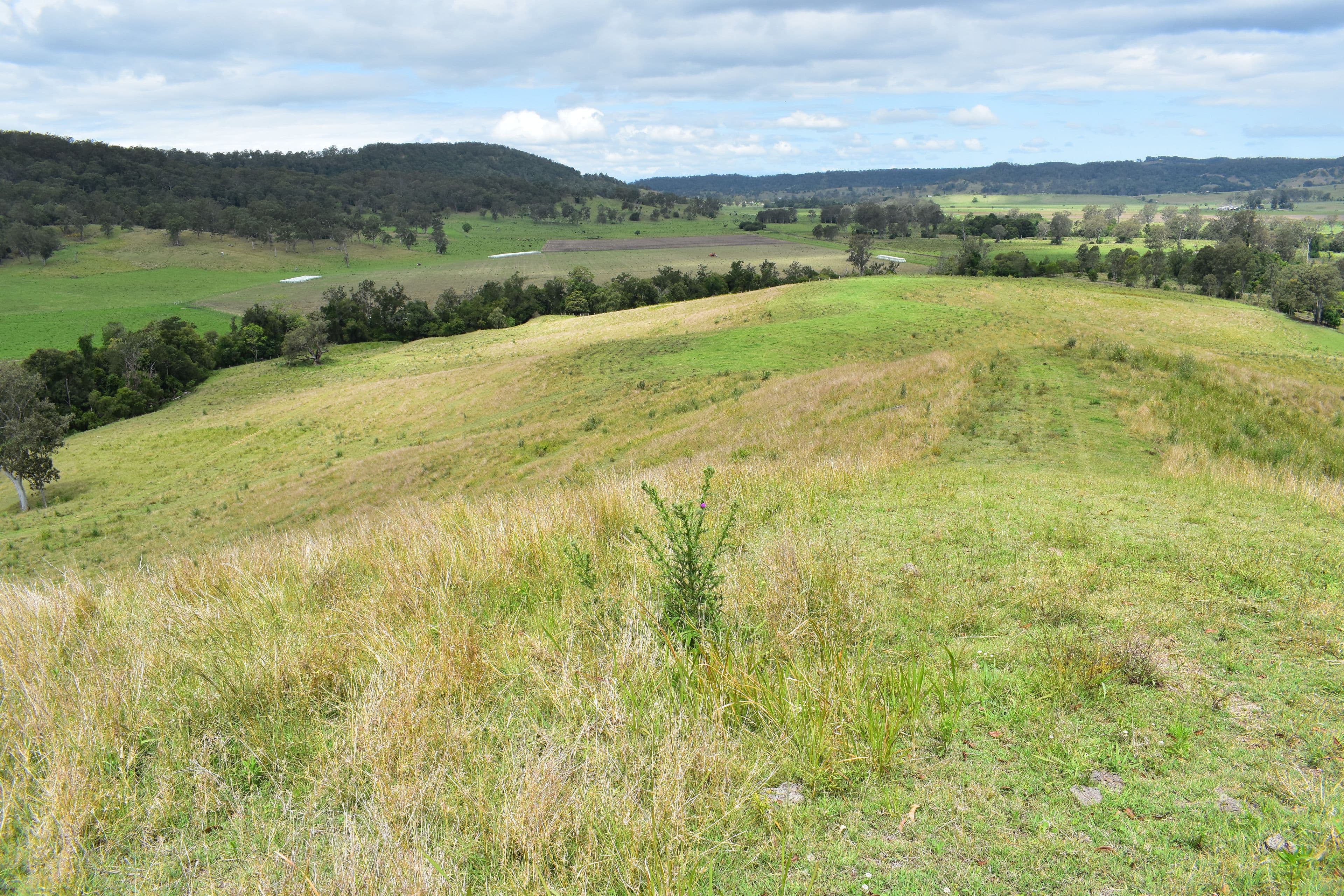 135C Bungabbee Road, Bungabbee NSW 2480, Bungabbee - Thumbnail 2