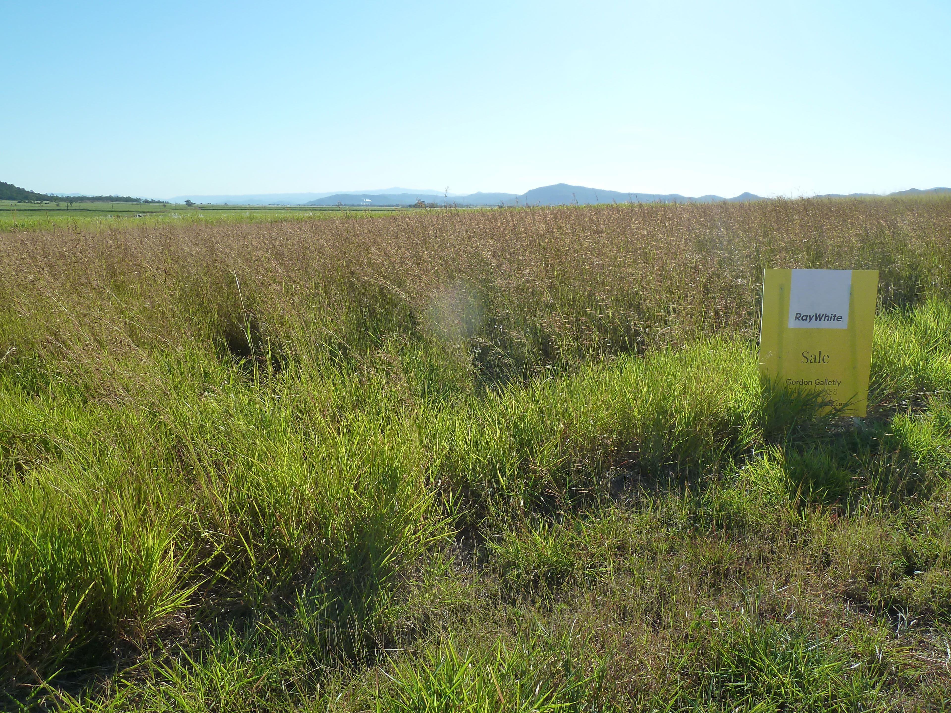 L9 Pleystowe School Road, Pleystowe QLD 4741, Pleystowe - Thumbnail 3