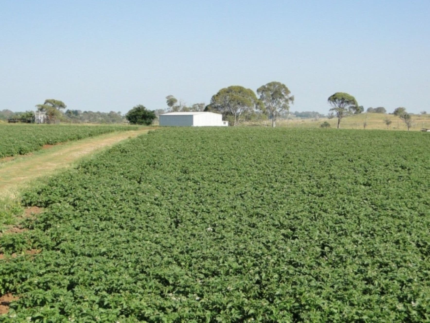 Hilltop Worra Street, GUYRA NSW 2365, Guyra - Thumbnail 5