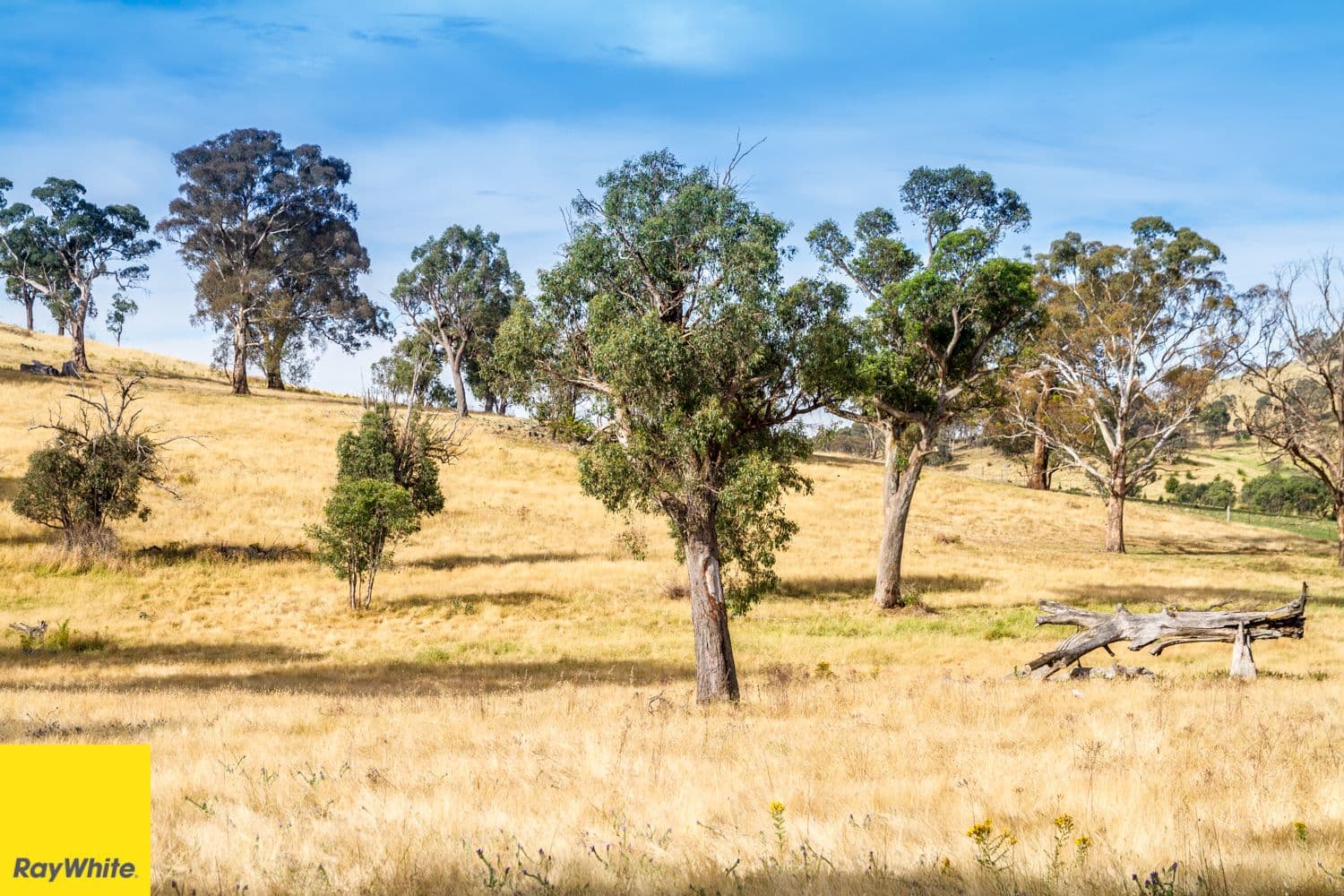 35 Anchow Hill Lane., Springrange NSW 2618, Springrange - Thumbnail 8
