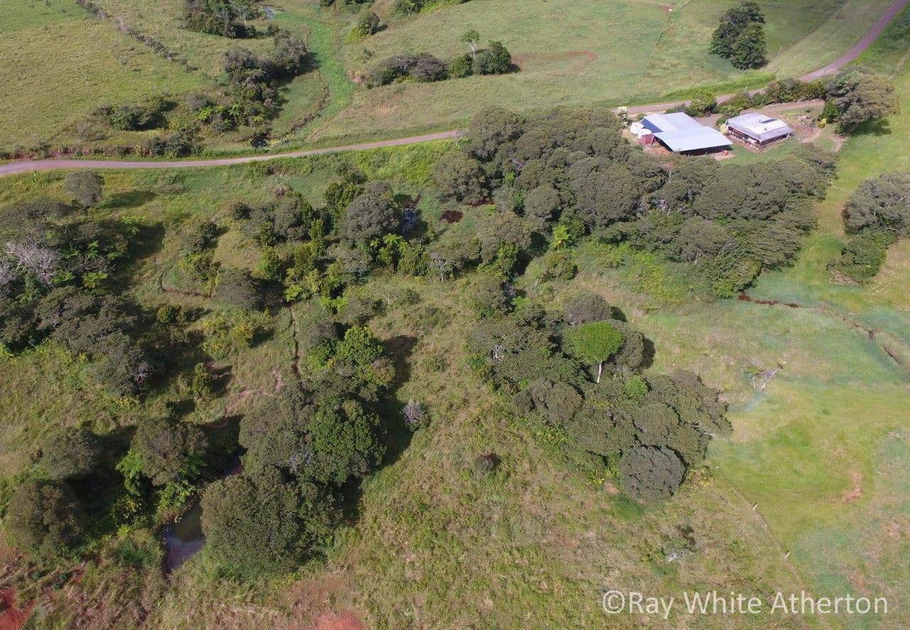Tarzali QLD 4885, Tarzali - Image 1