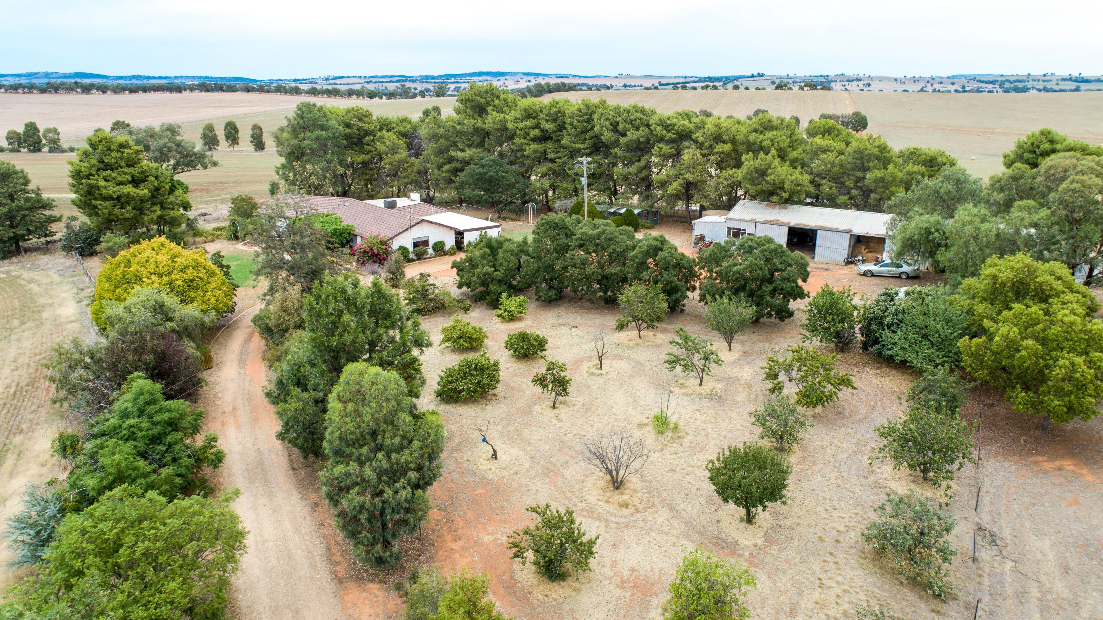 621 Coursing Park Road, Downside NSW 2650, Downside - Image 1