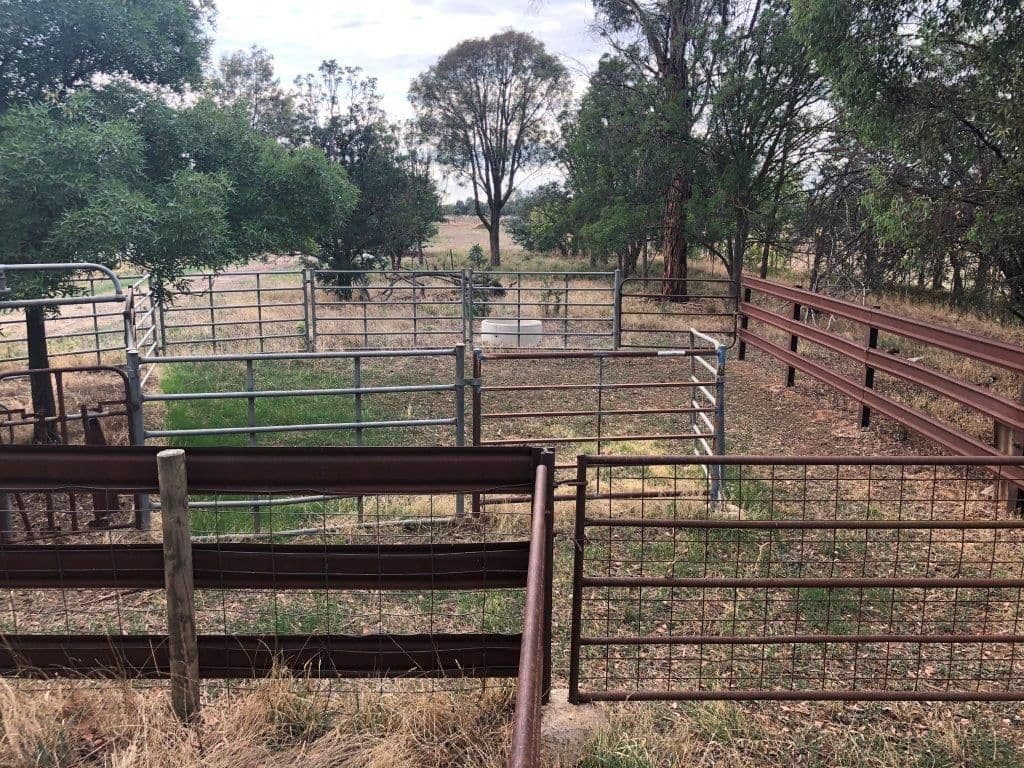 513 Mckenzie Road, Mooroopna North West VIC 3616, Mooroopna North West - Thumbnail 7