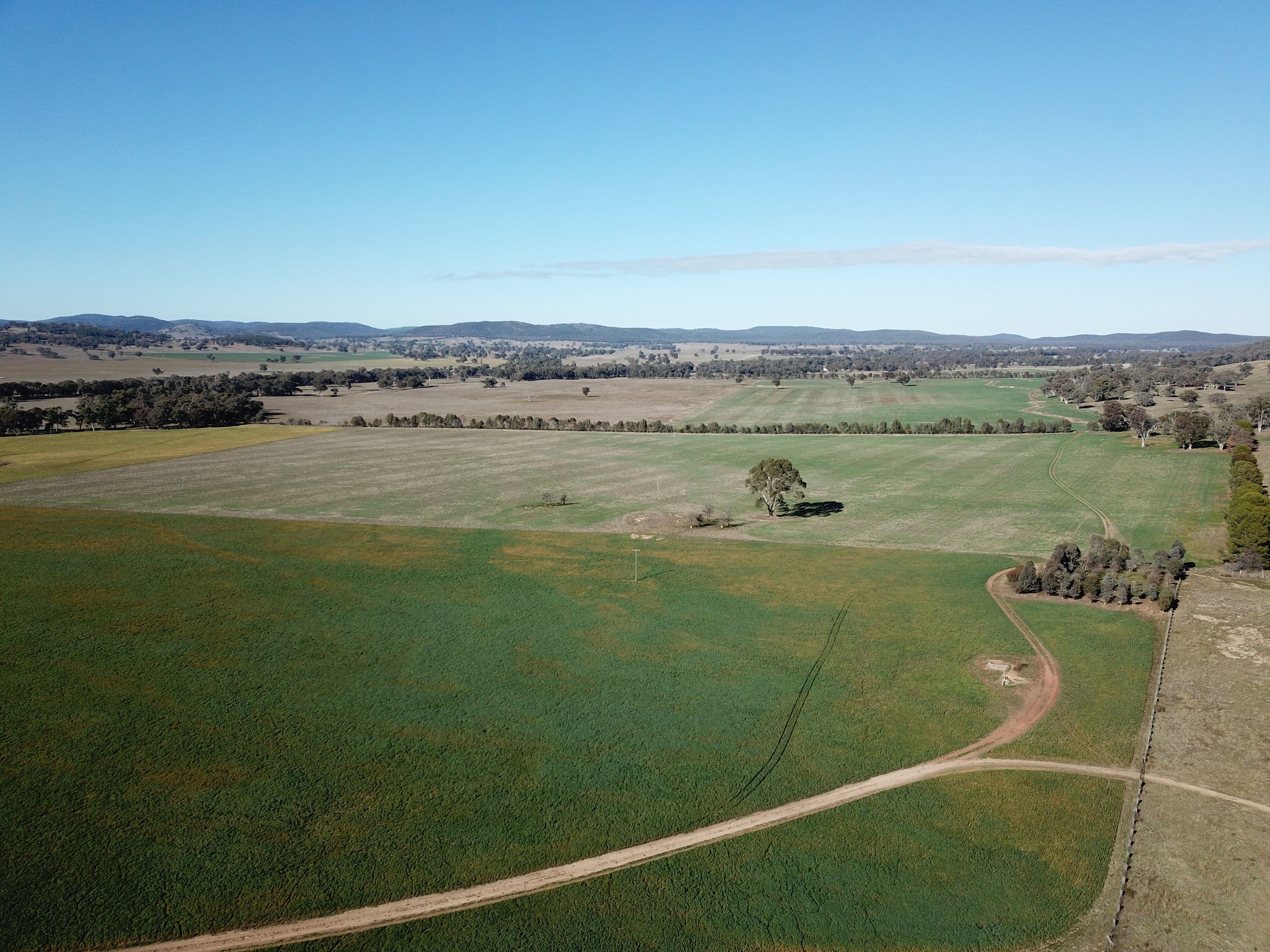'Emrose' 6702 Renshaw McGirr Way, Baldry NSW 2867, Baldry - Thumbnail 2