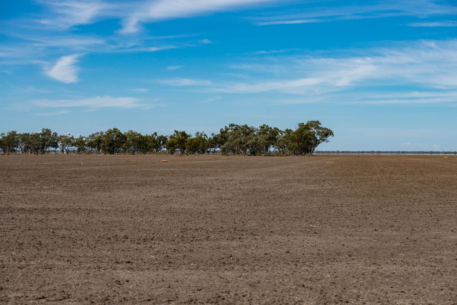 Loch Lomond 843 Loch Lomond Road, COONAMBLE NSW 2829, Coonamble - Thumbnail 7