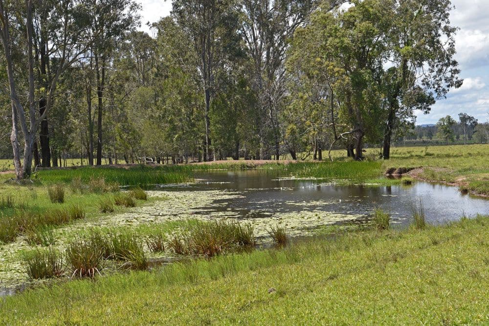 Lot 37 Tullymorgan Road, Lawrence NSW 2460, Lawrence - Thumbnail 4