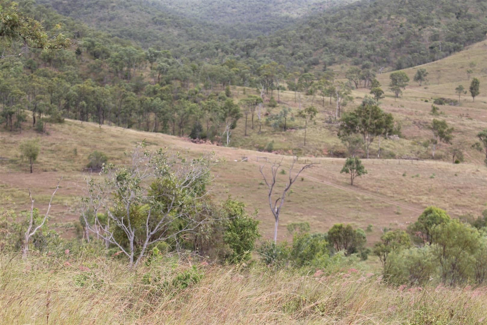 200 Morse Road, Raglan QLD 4697, Raglan - Thumbnail 6