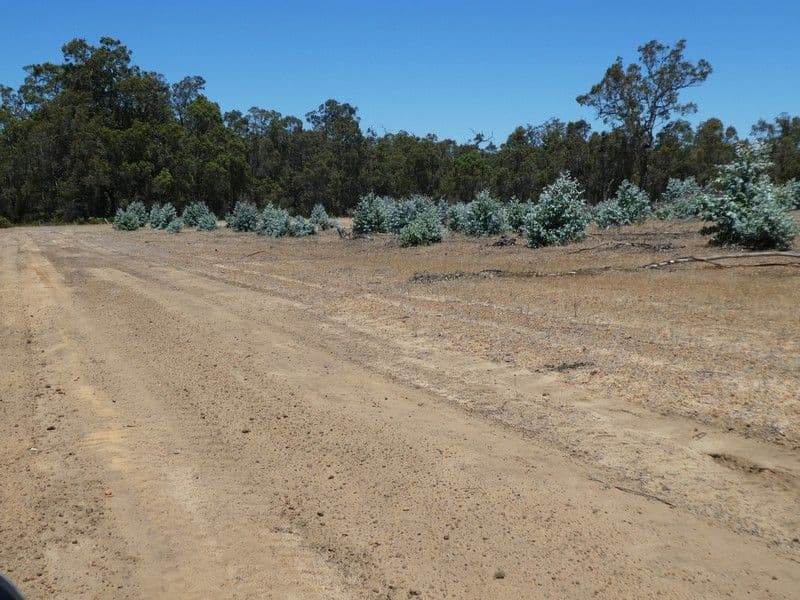 Lot 8 Rocky Gully Road, Rocky Gully WA 6397, Rocky Gully - Thumbnail 5