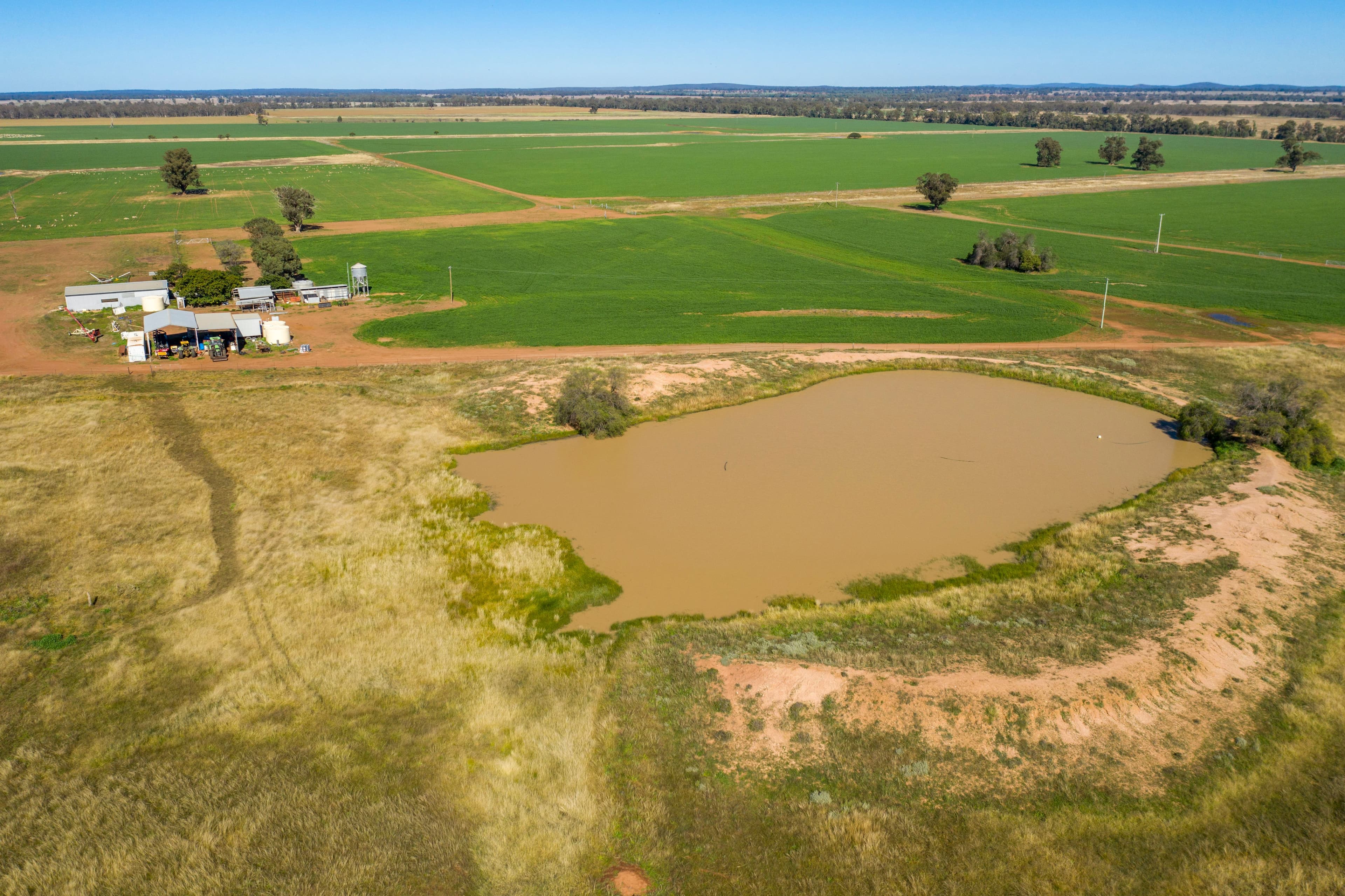 3502 Numalla Road, Peak Hill NSW 2869, Peak Hill - Thumbnail 8