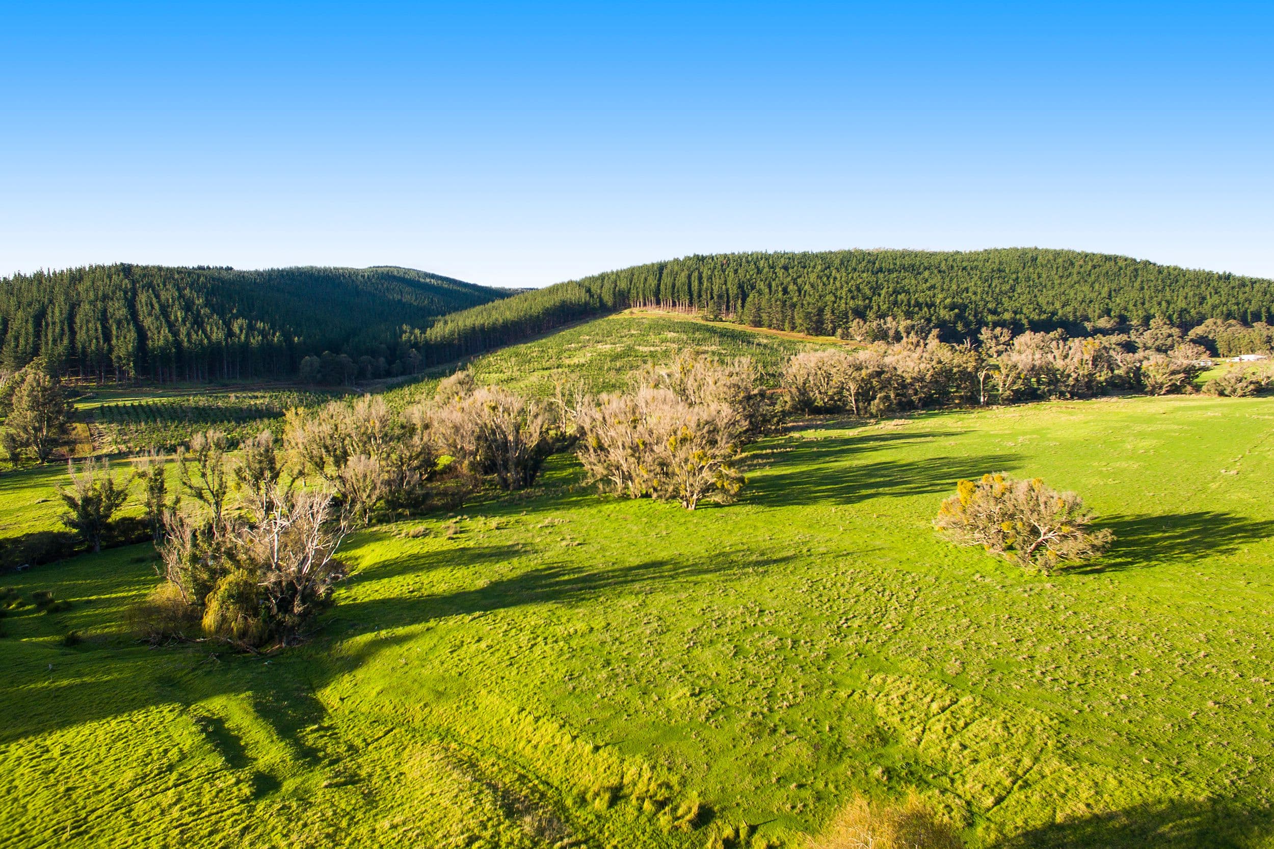 Nannup WA 6275, Nannup - Thumbnail 5