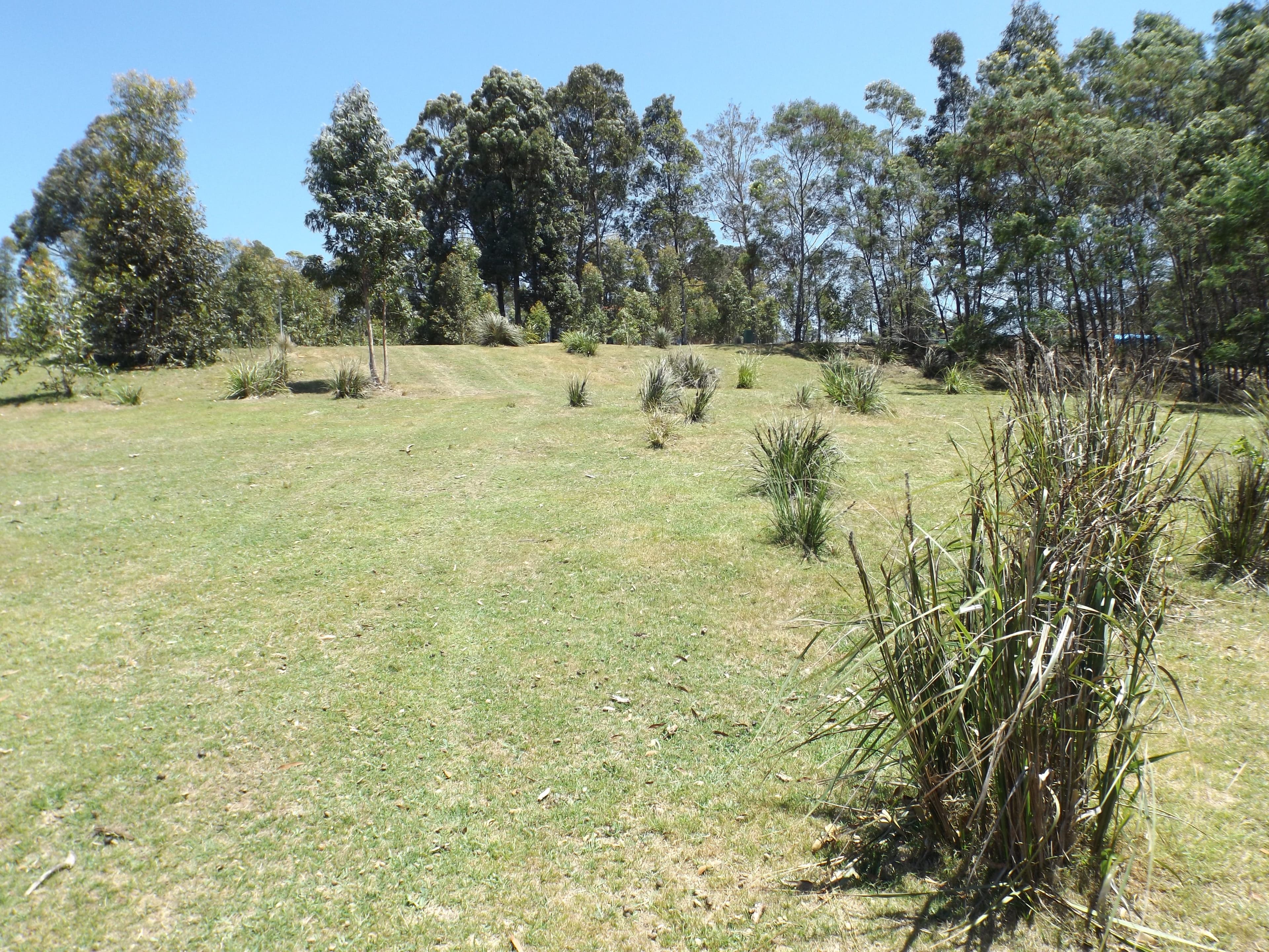 22 Clarence Street, Long Beach NSW 2536, Long Beach - Image 1