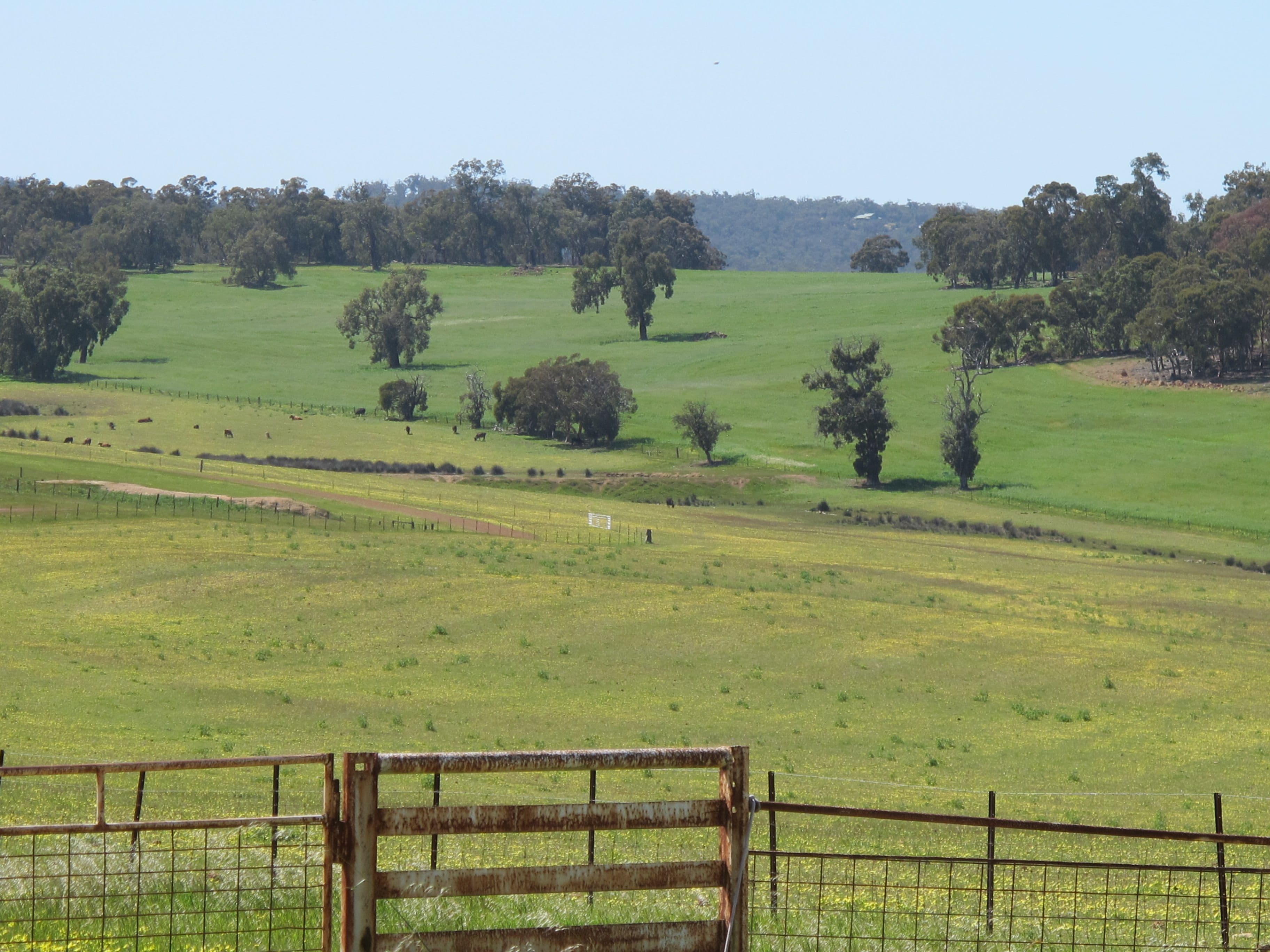 Springbank Farm, Julimar Road, Toodyay WA 6566, Toodyay - Thumbnail 7