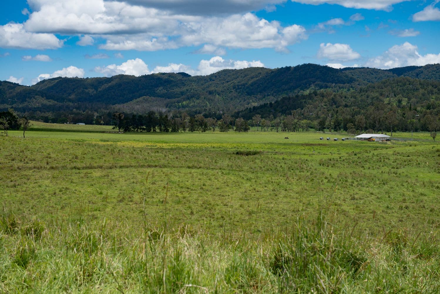 536 Aherns Road, Conondale QLD 4552, Conondale - Thumbnail 6