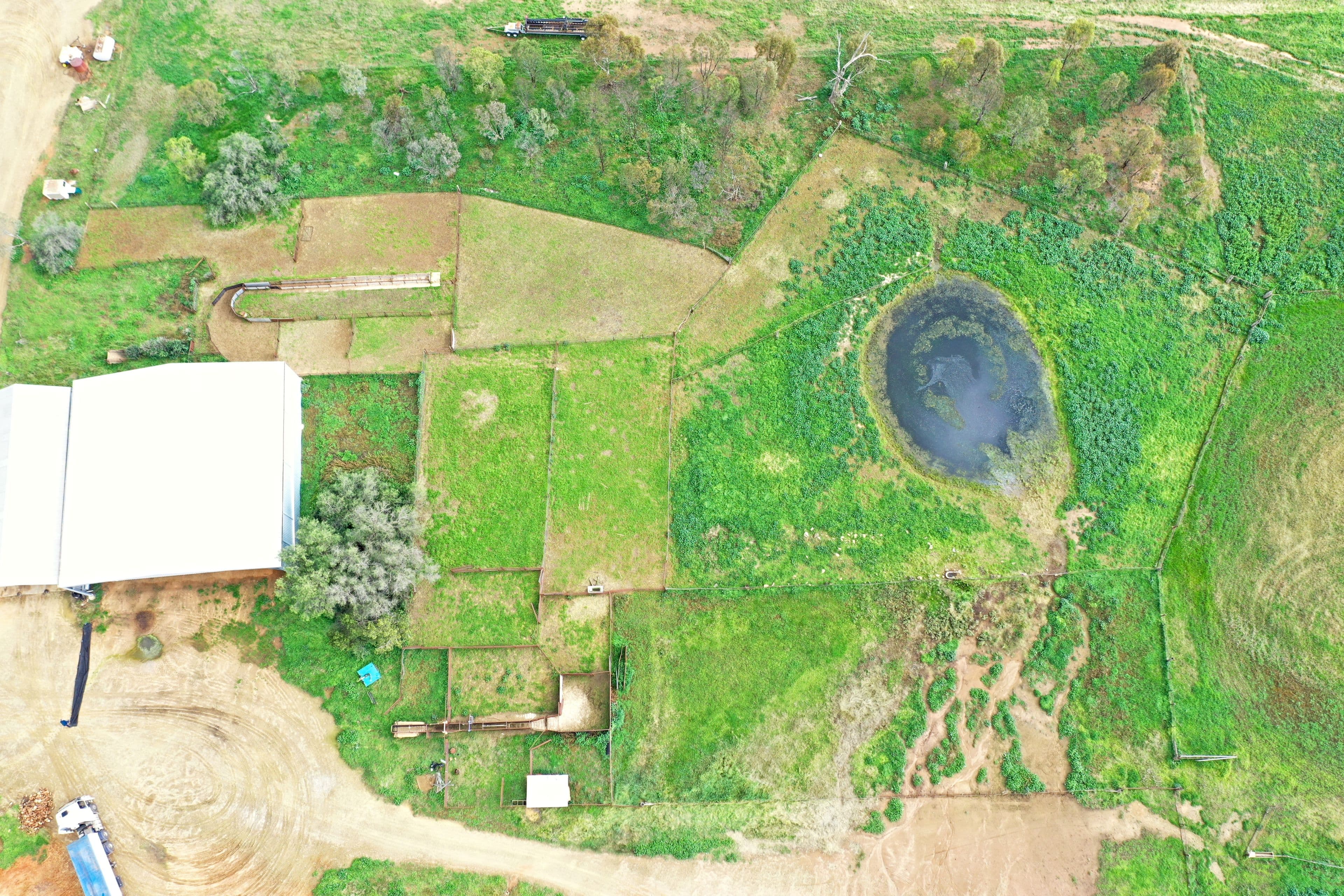Grenfell NSW 2810, Grenfell - Thumbnail 8