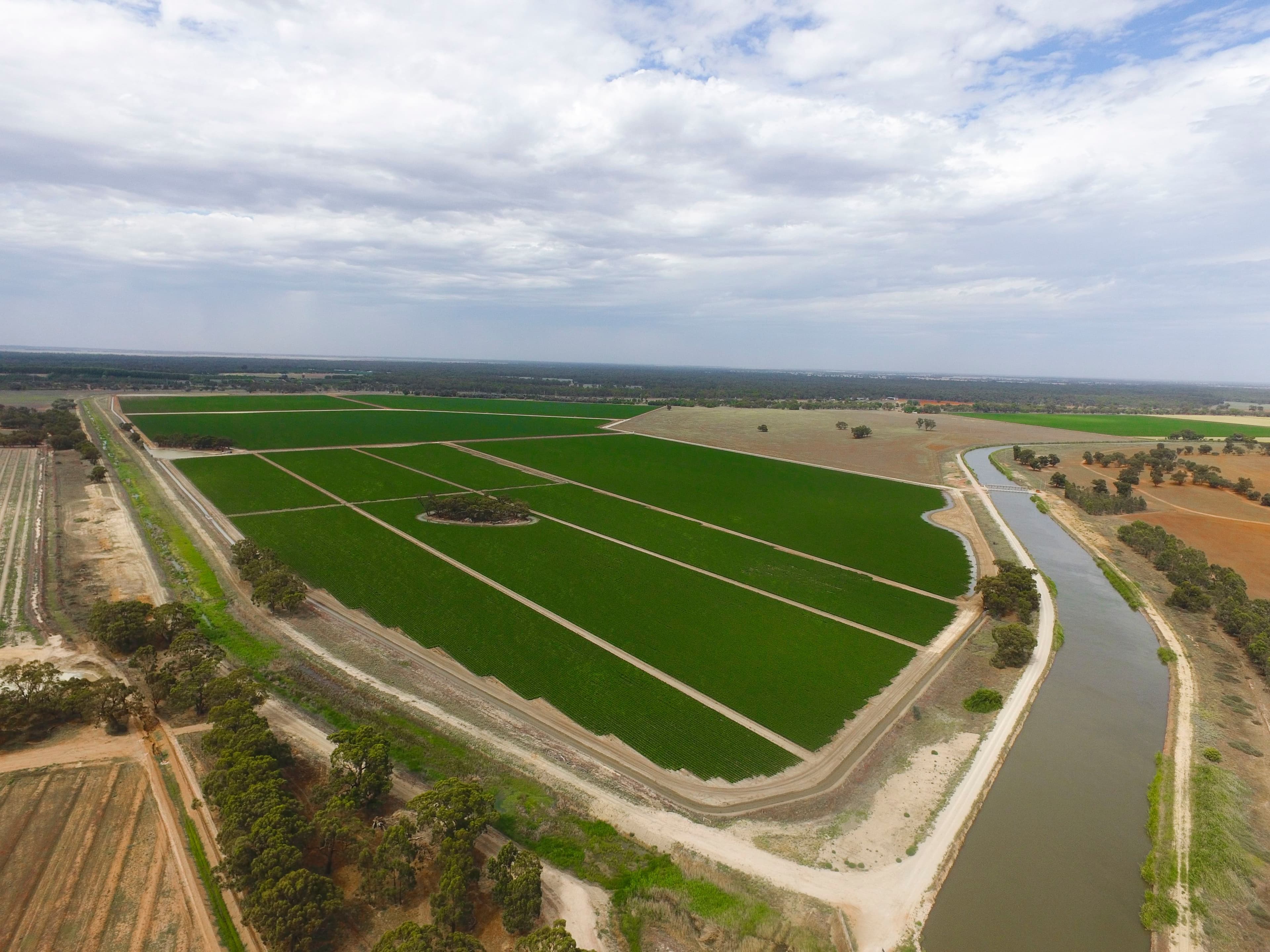 Yanco NSW 2703, Yanco - Thumbnail 3