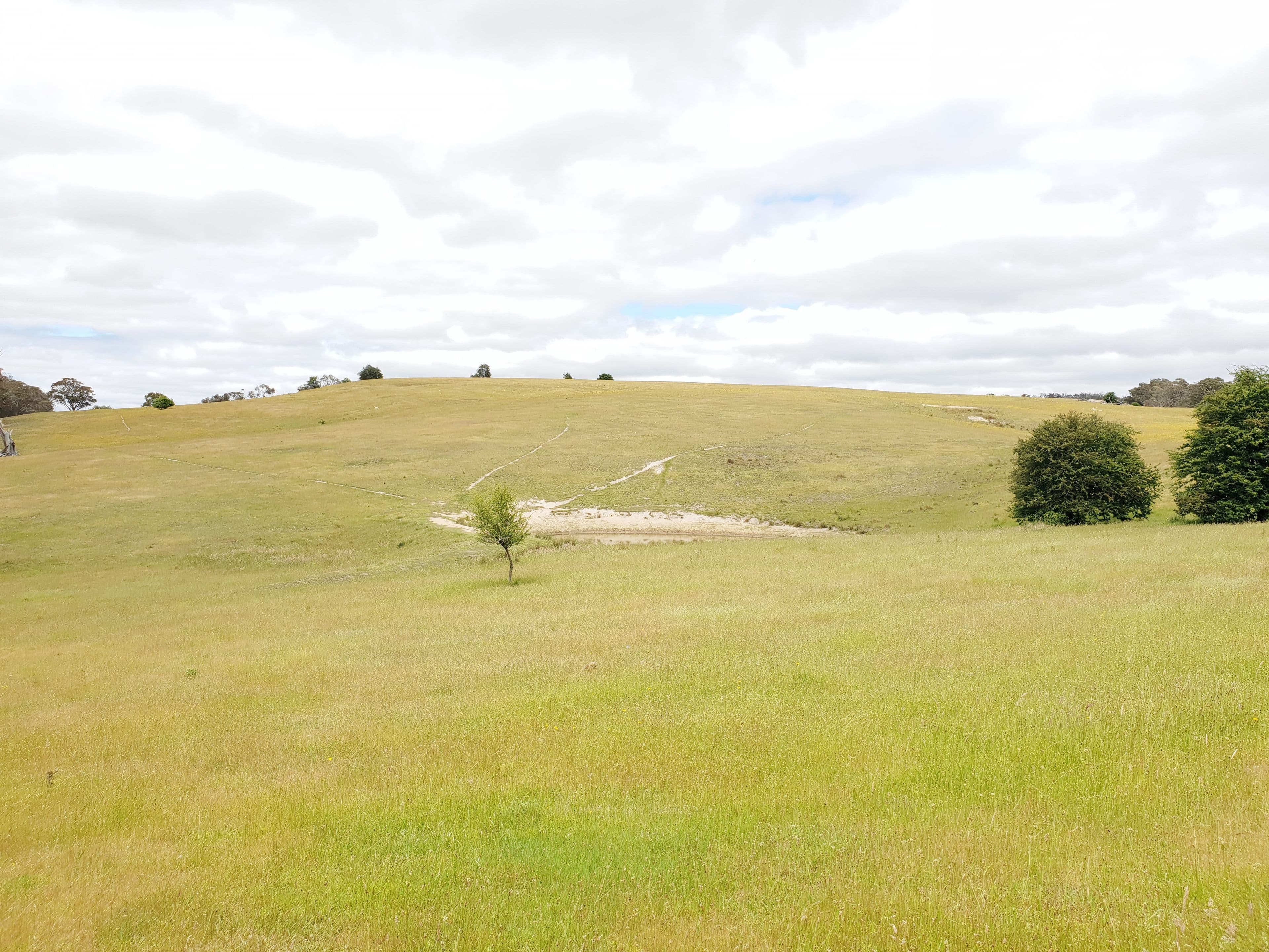 418 Parlour Creek Road, Braidwood NSW 2622, Braidwood - Thumbnail 4